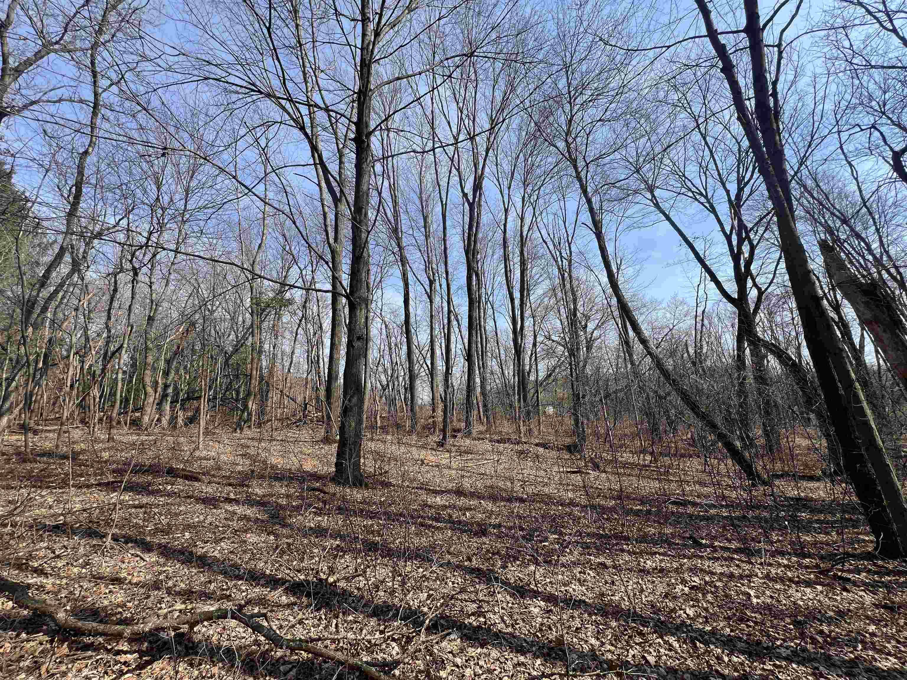 Lyndon Station, WI 53944,10 Acres Dees Road