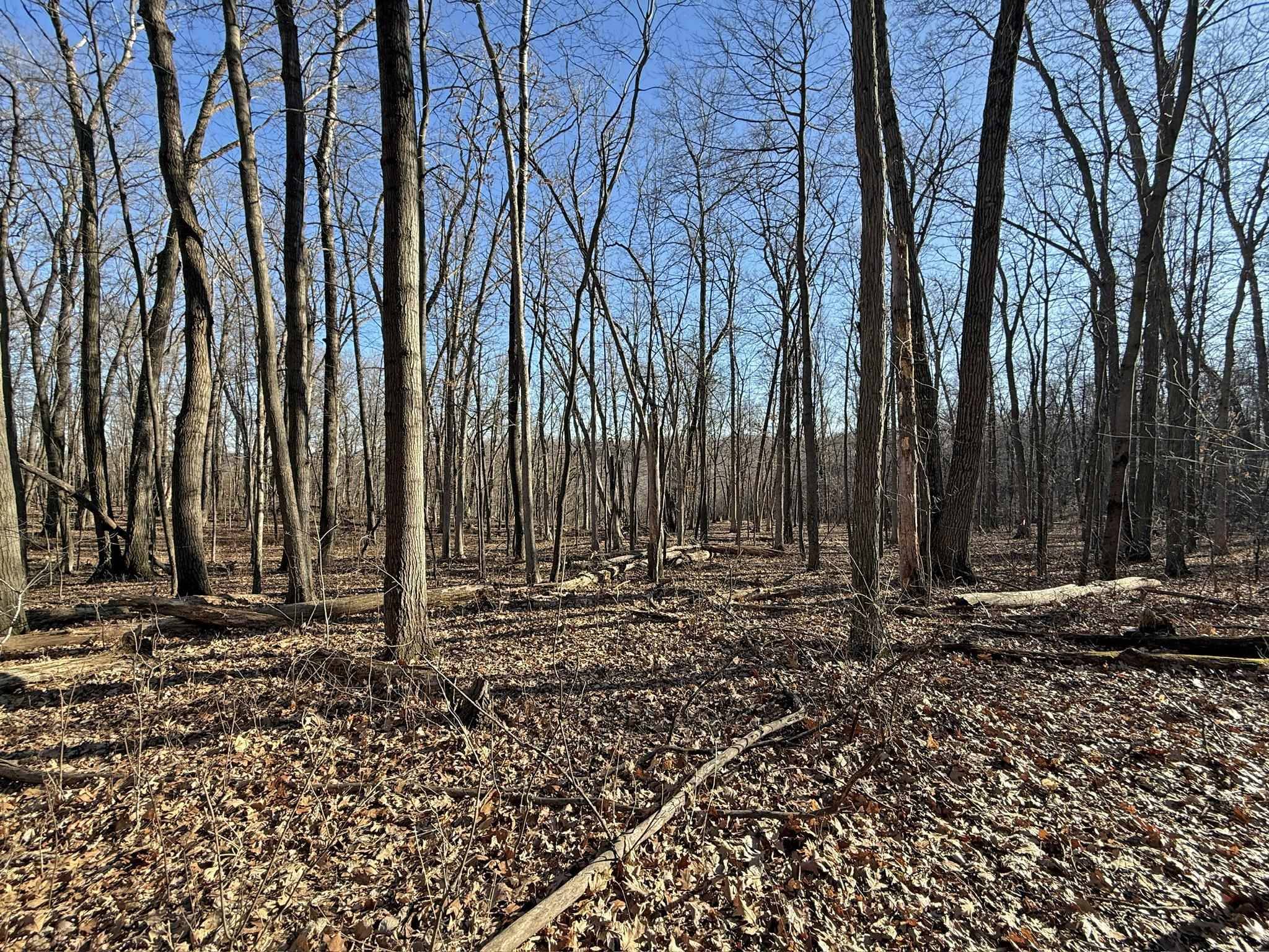 La Valle, WI 53941,L1032 Blue Ridge Drive