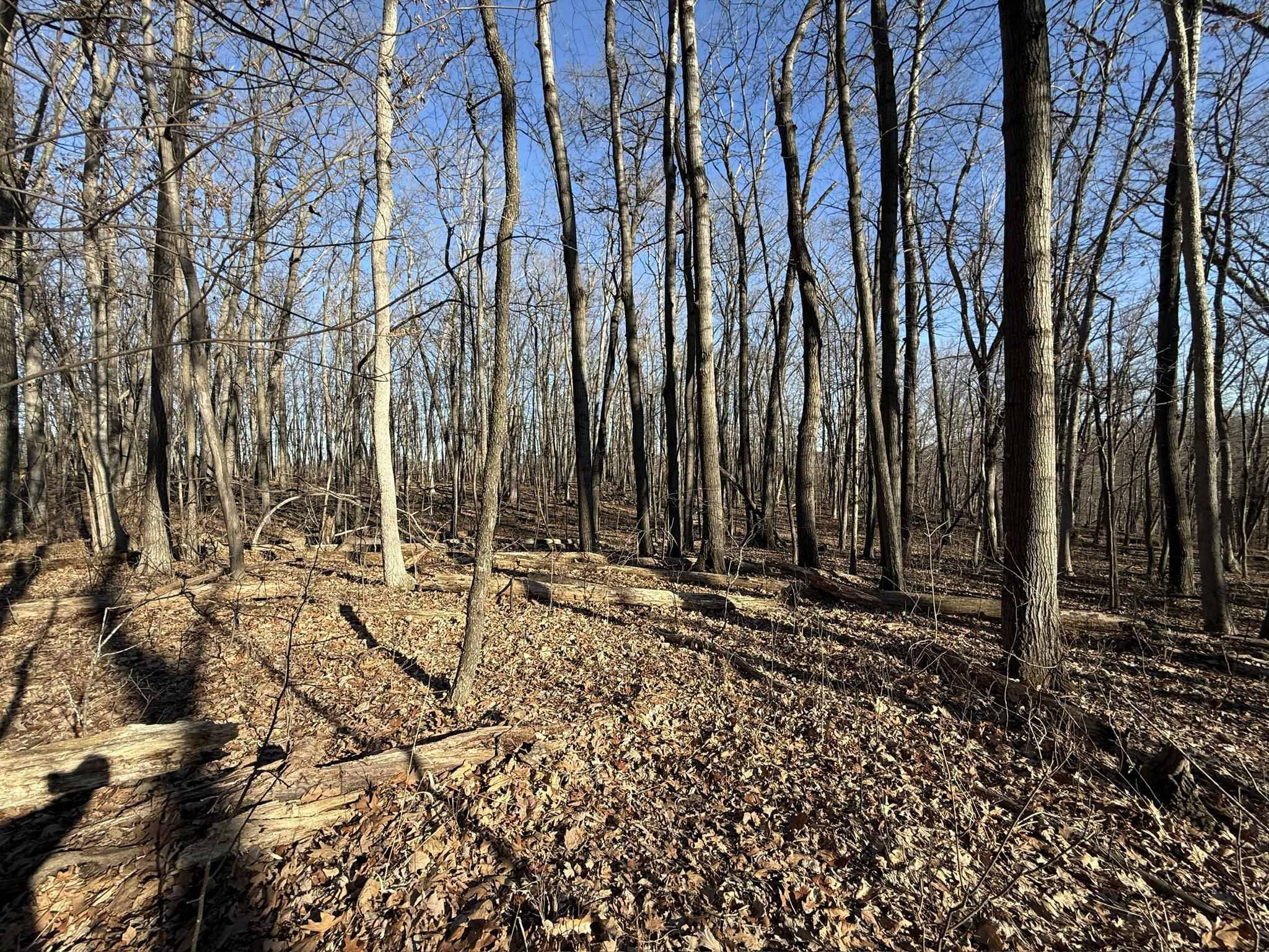 La Valle, WI 53941,L1032 Blue Ridge Drive