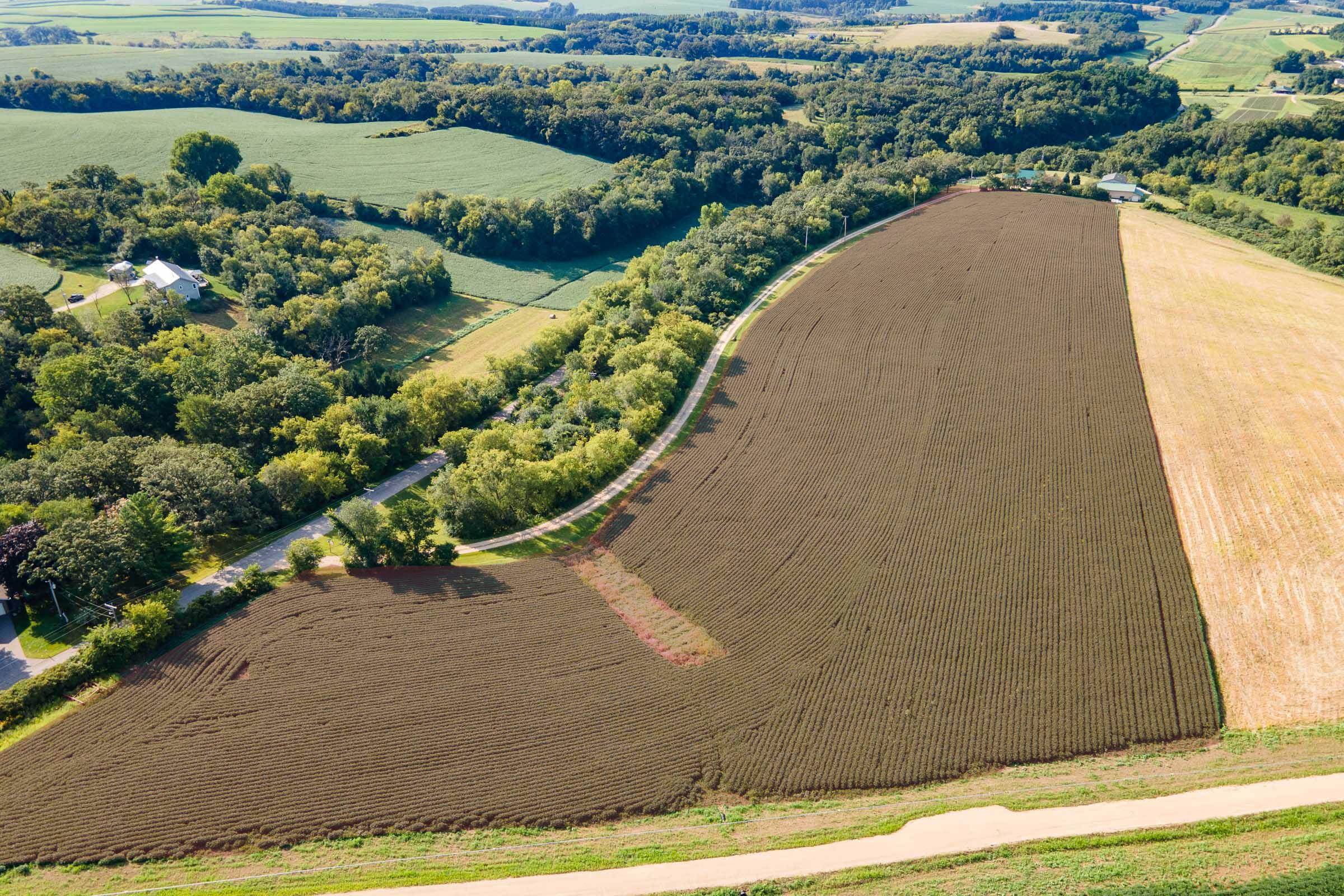 Ridgeway, WI 53582,Lot 4 W Brigham Way