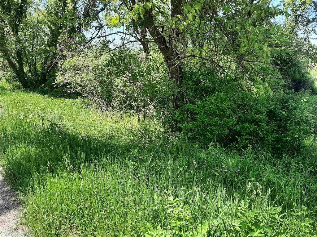 Reedsburg, WI 53959,18 Acres Shady Lane Road