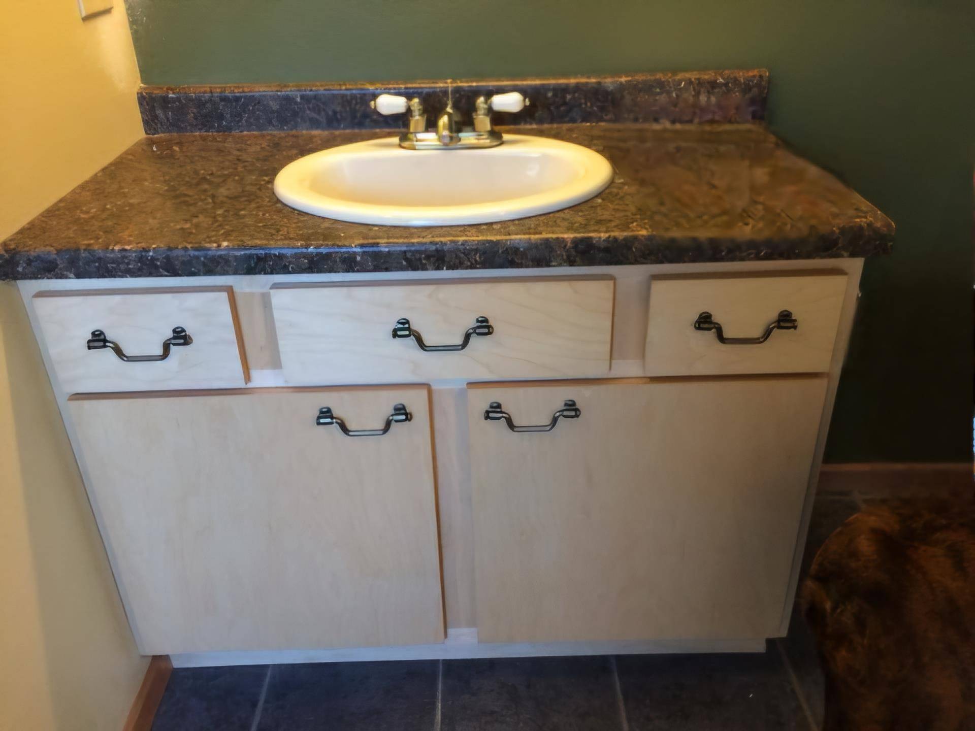 Adams, WI 53910,1159 Dover Drive