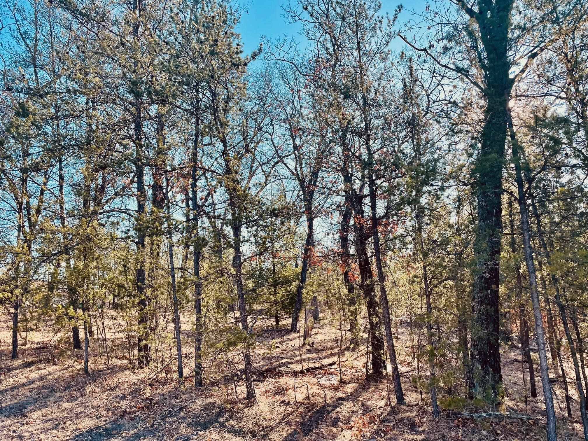 Nekoosa, WI 54457,1176 Arrowhead Trail