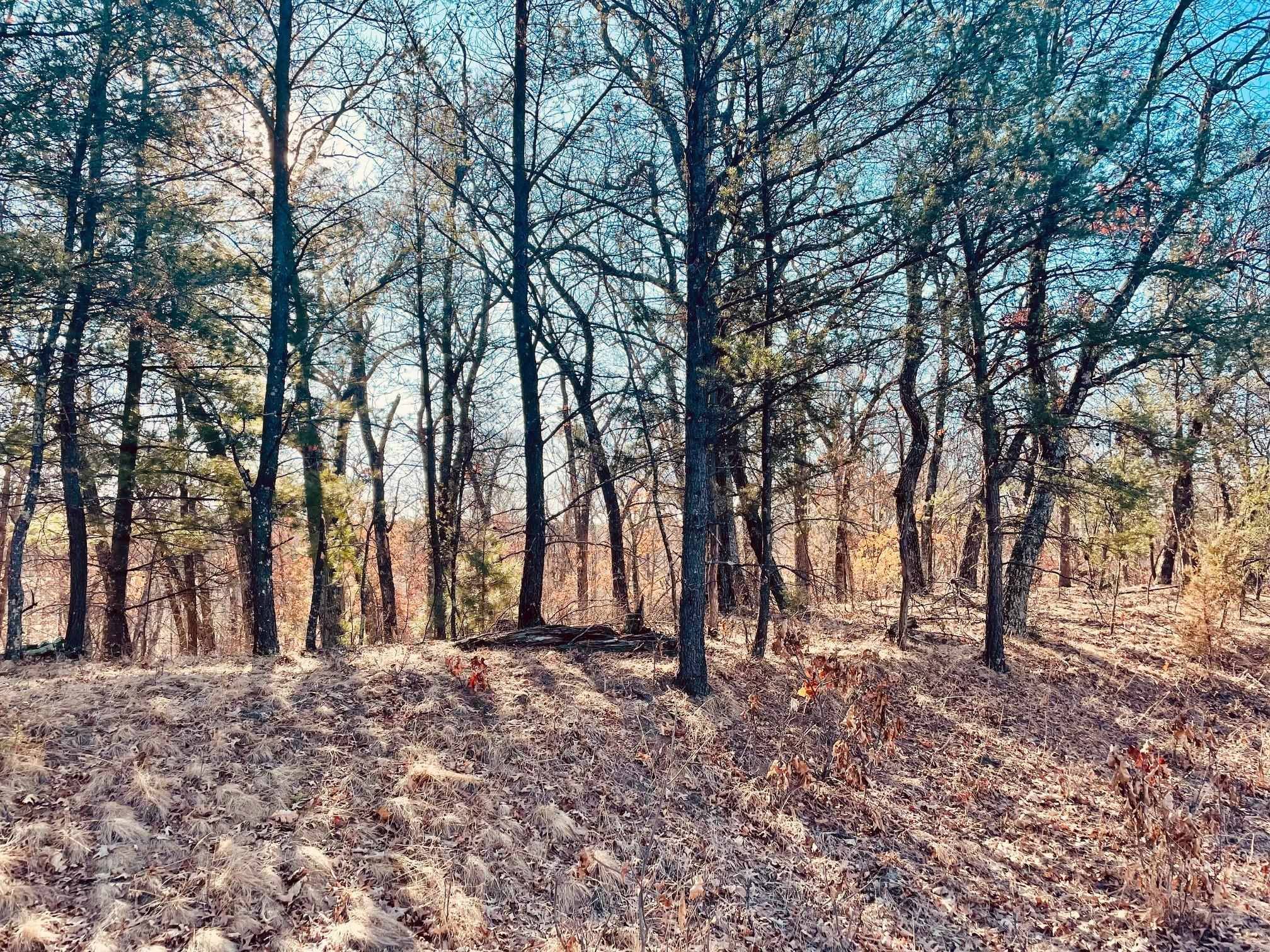 Nekoosa, WI 54457,414 Duffers Trail
