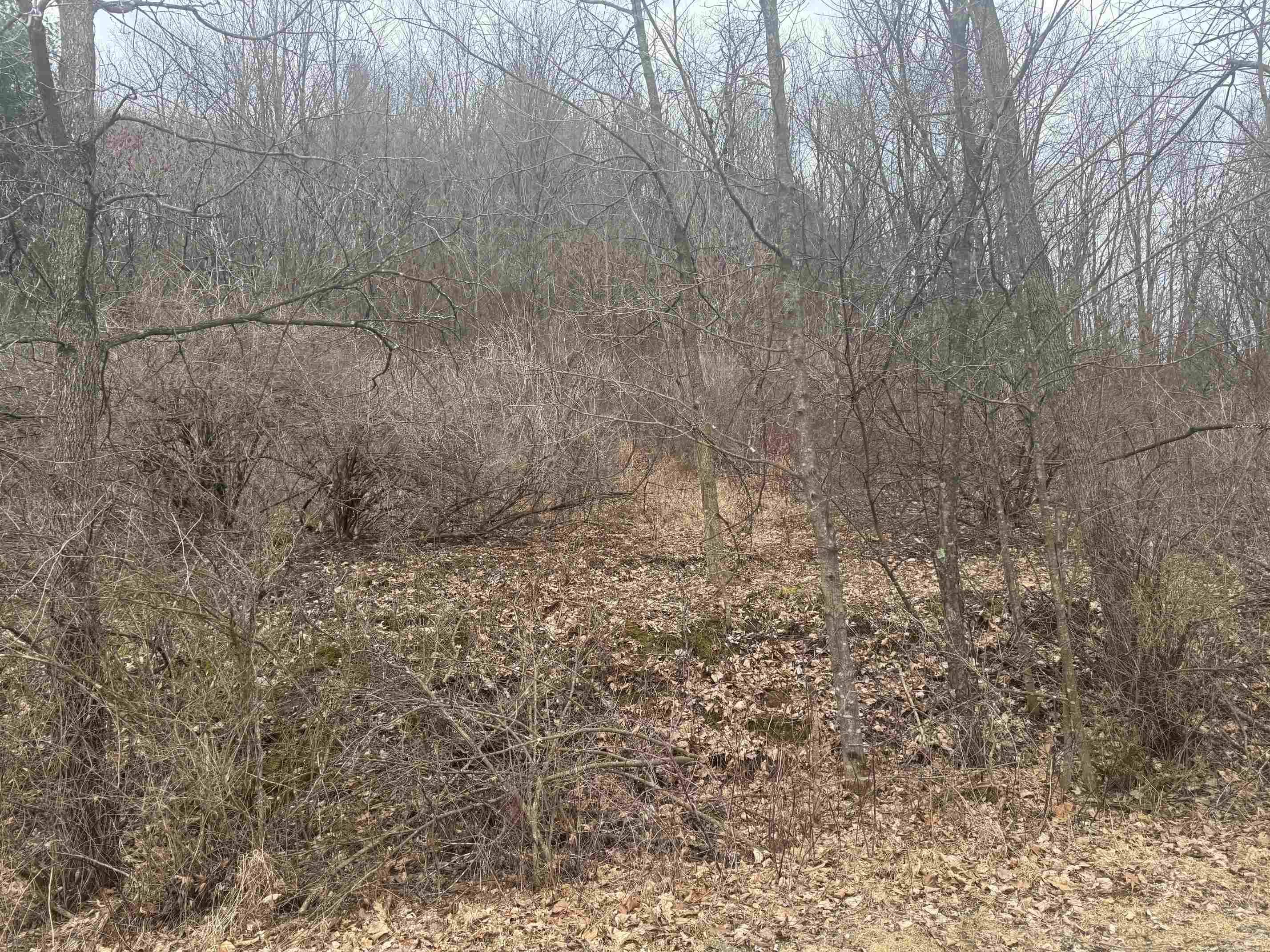 Richland Center, WI 53581,Lot 2 W Fairview Drive