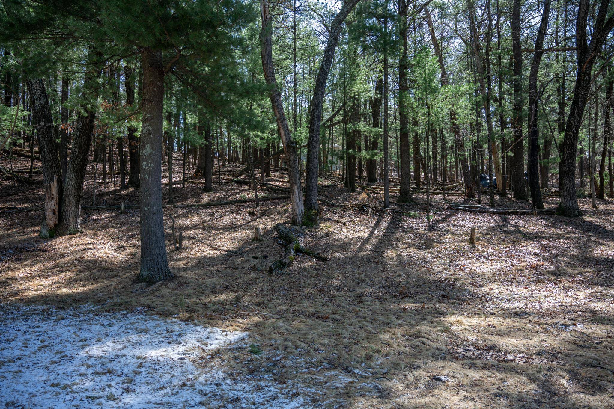 Lake Delton, WI 53940,Lot 41 Canyon Road