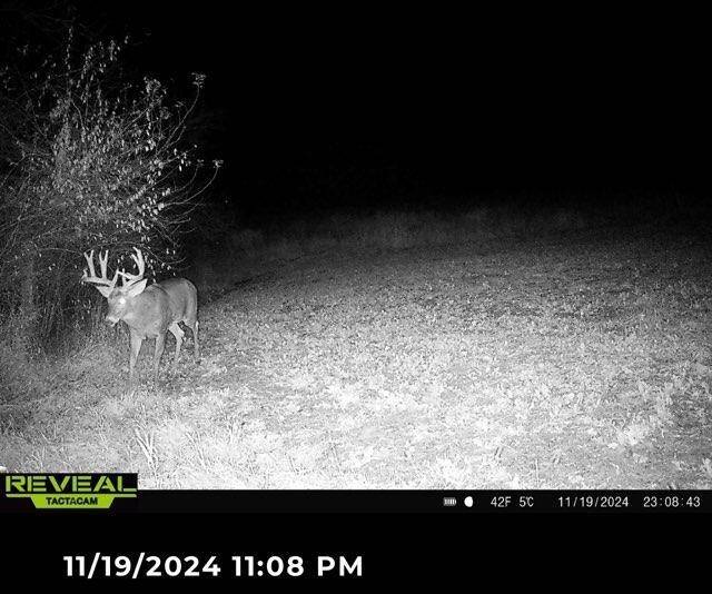 Boscobel, WI 53805,Timber Hill Lane