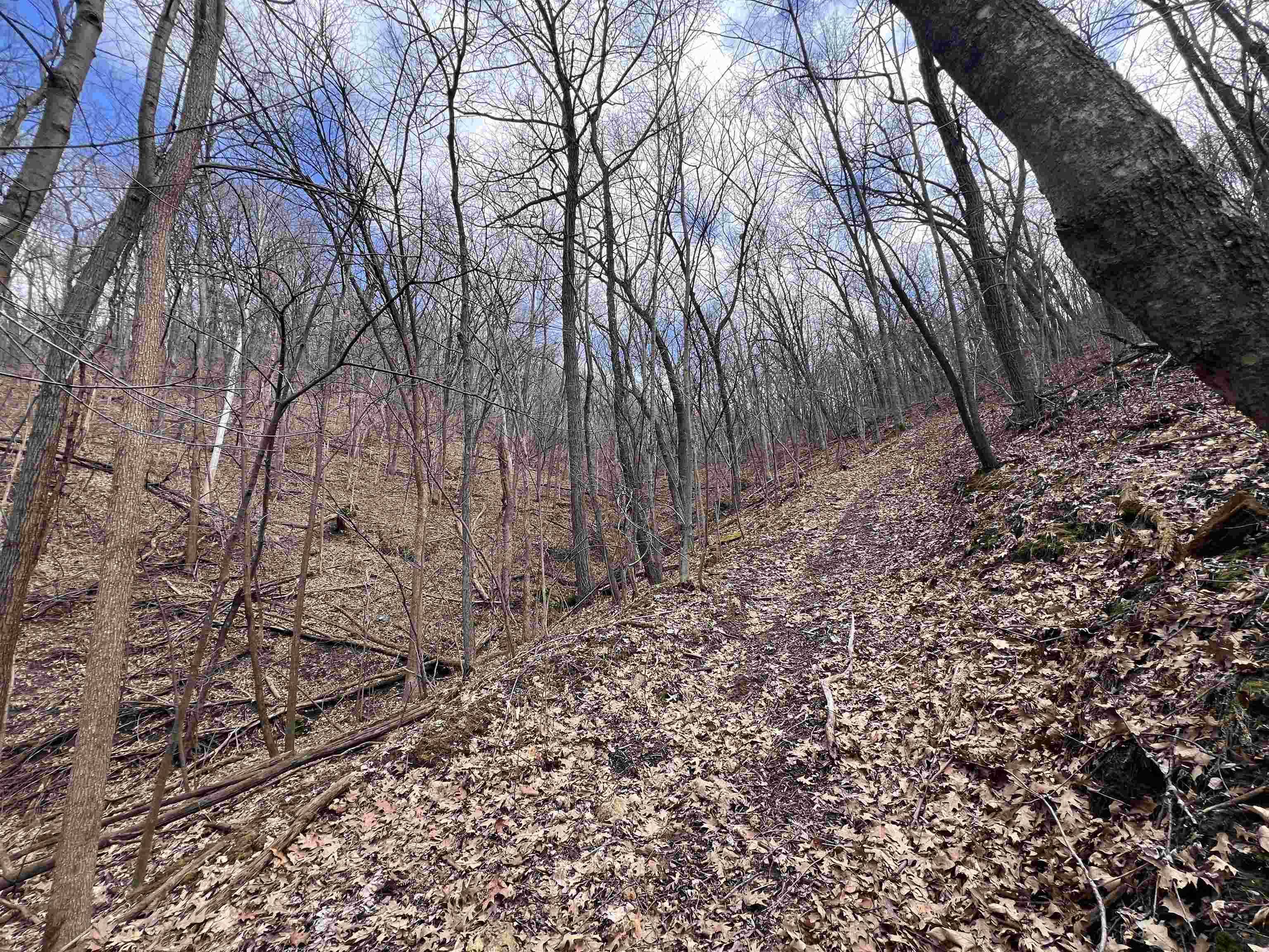De Soto, WI 54624,14.2 Acres Will Kumlin Road