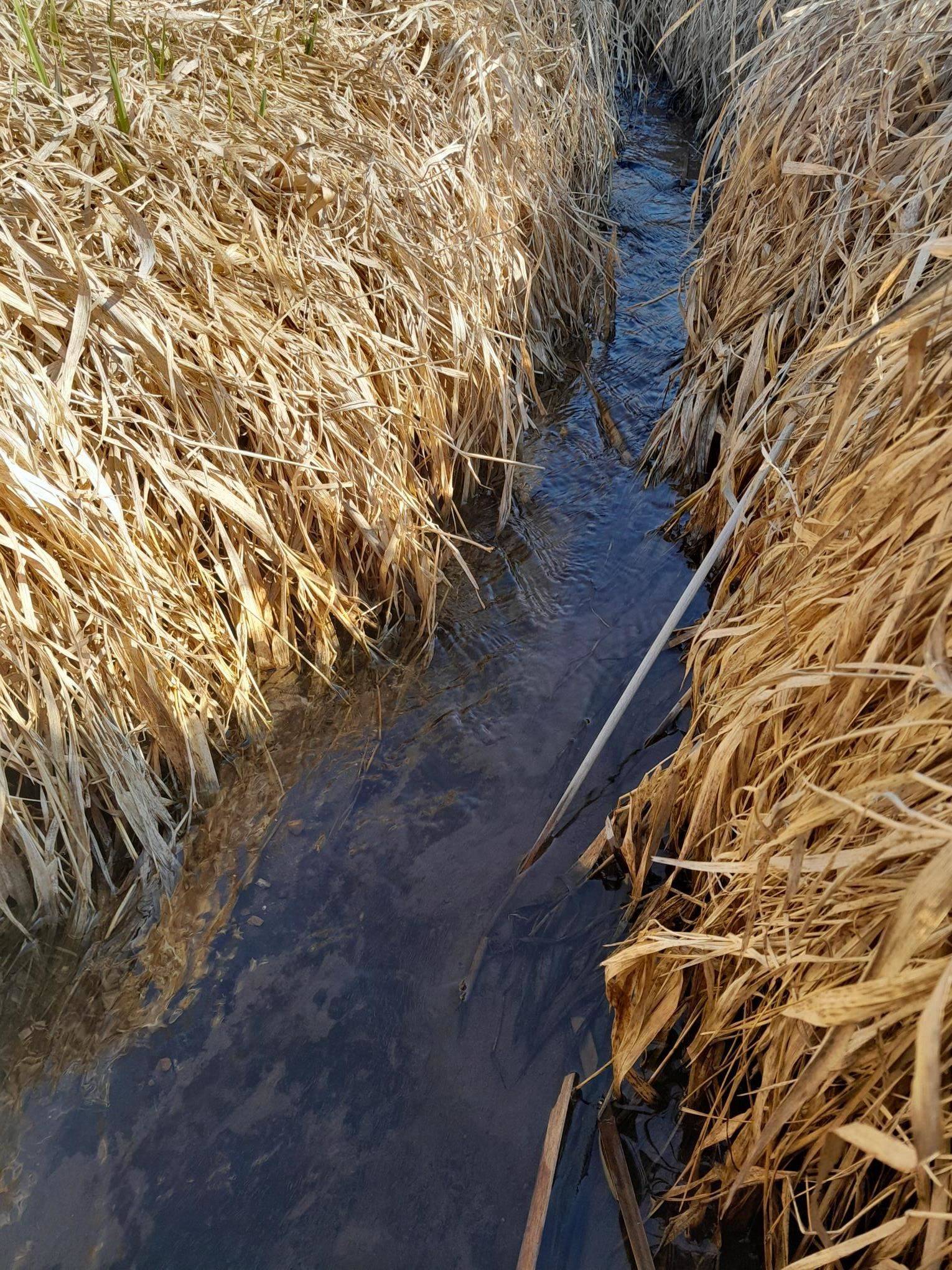 Bloomington, WI 53804,Approx 9 acres Highway 35/61