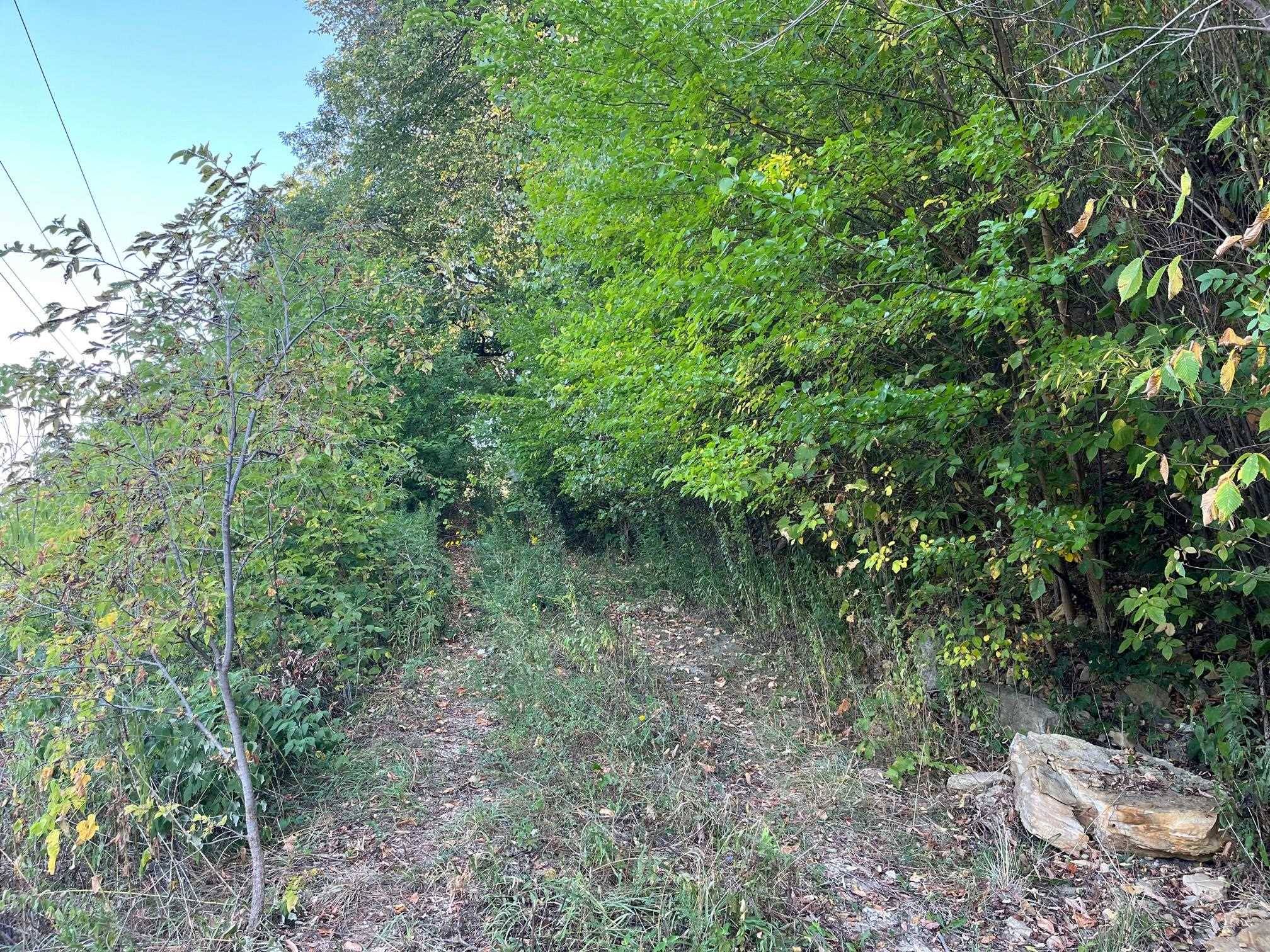 De Soto, WI 54624,13.55ac Great River Road