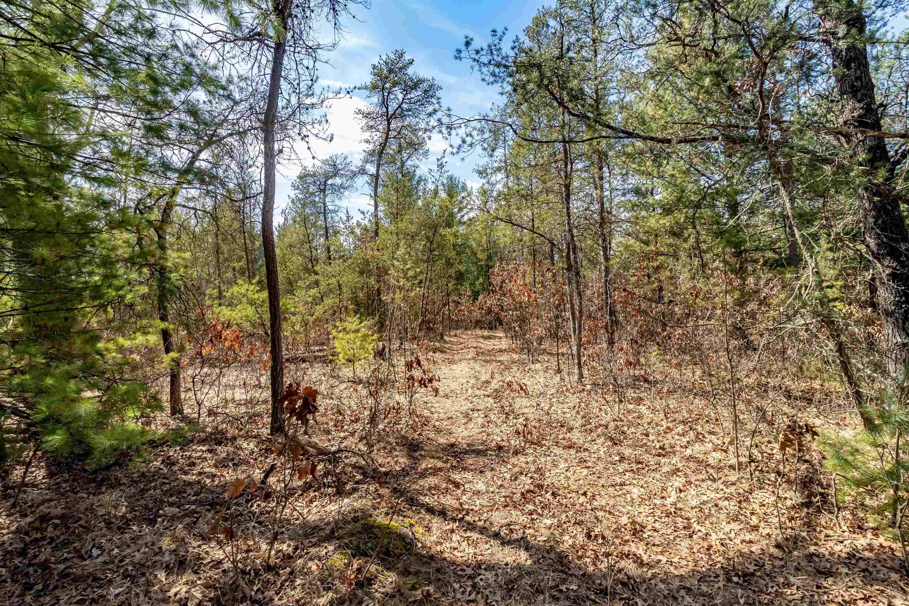 Friendship, WI 53934,Lot 1 Highway 13