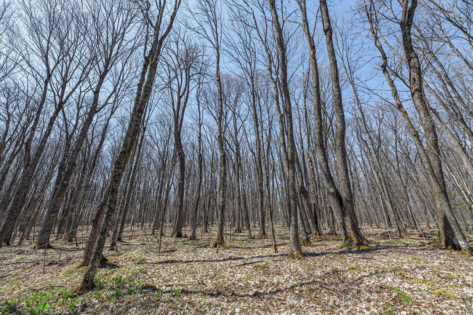 Presque Isle, WI 54557,Lot 12 Red Fox Road