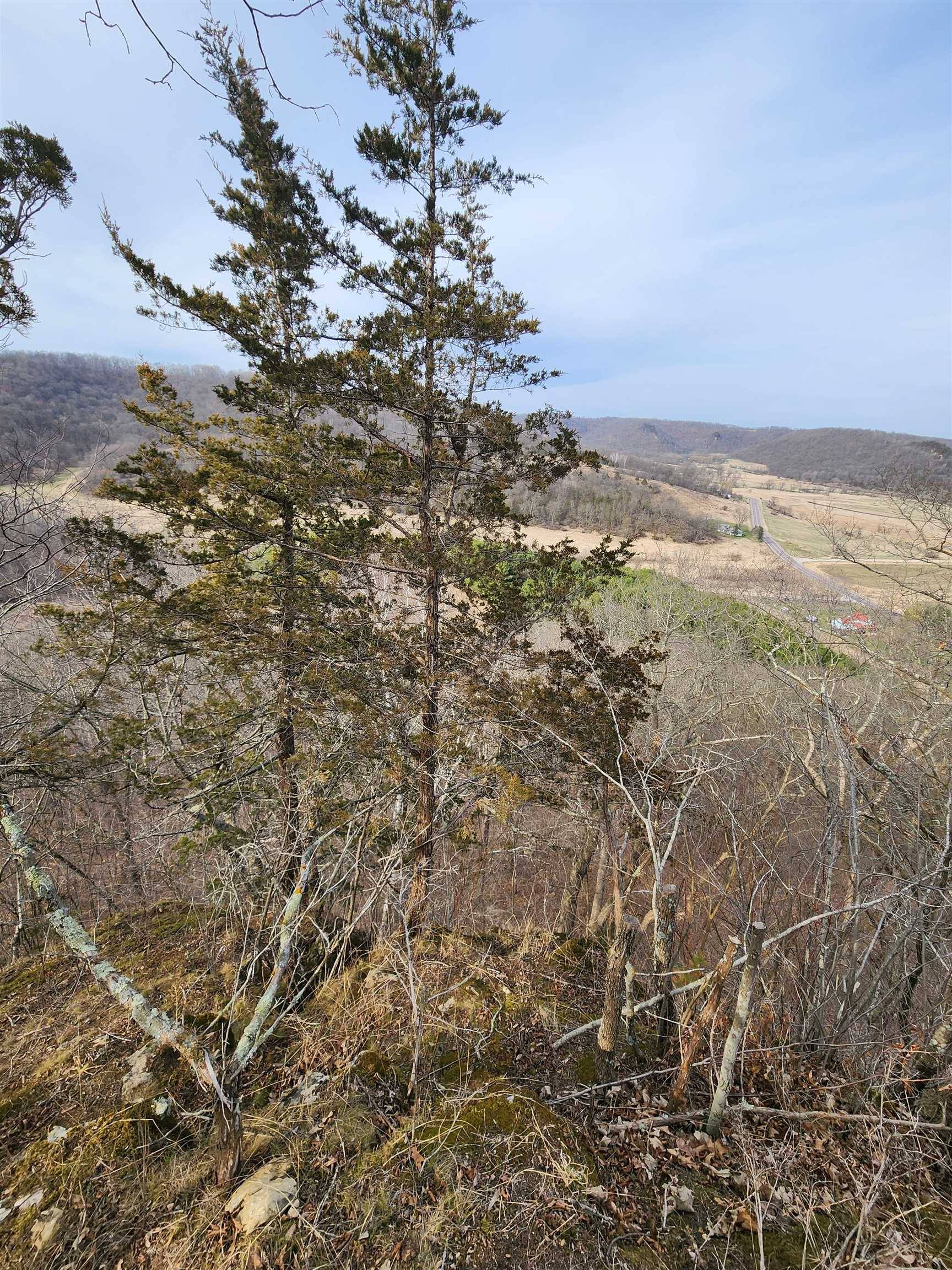 La Farge, WI 54639,24.61 Ac Chadwick hollow Road