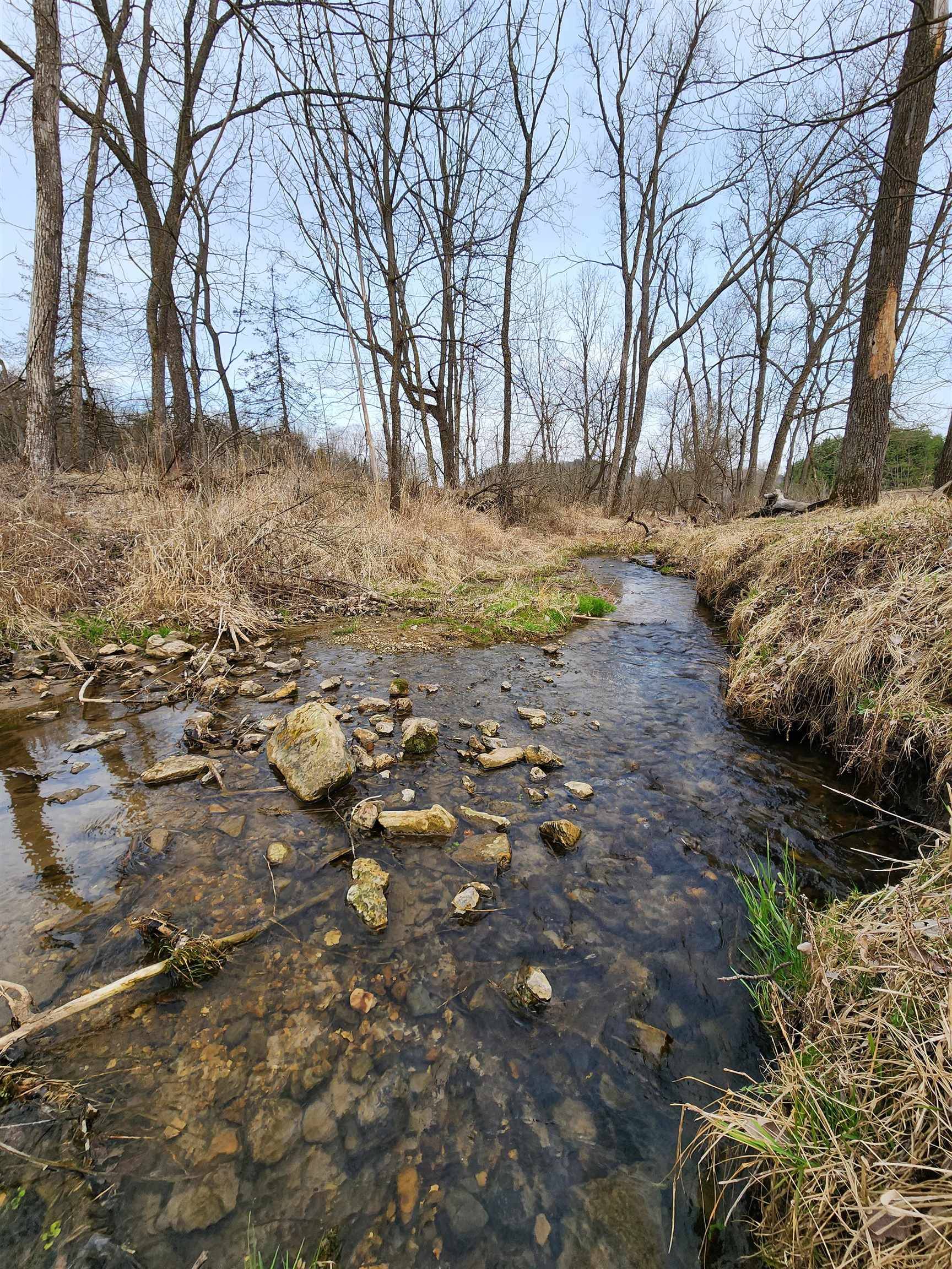 La Farge, WI 54639,24.61 Ac Chadwick hollow Road