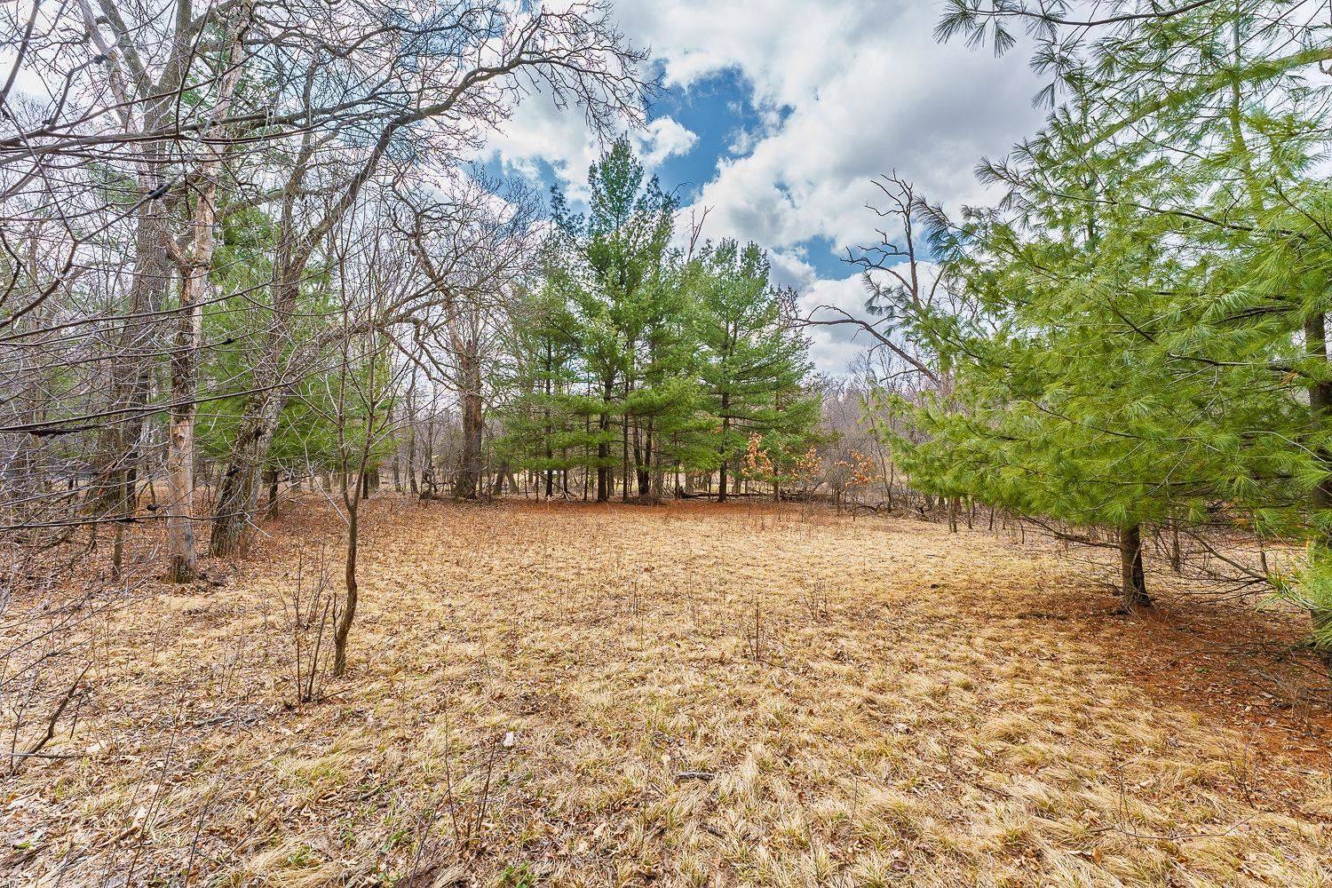 Reedsburg, WI 53959,Lot 19 Buck Bay W