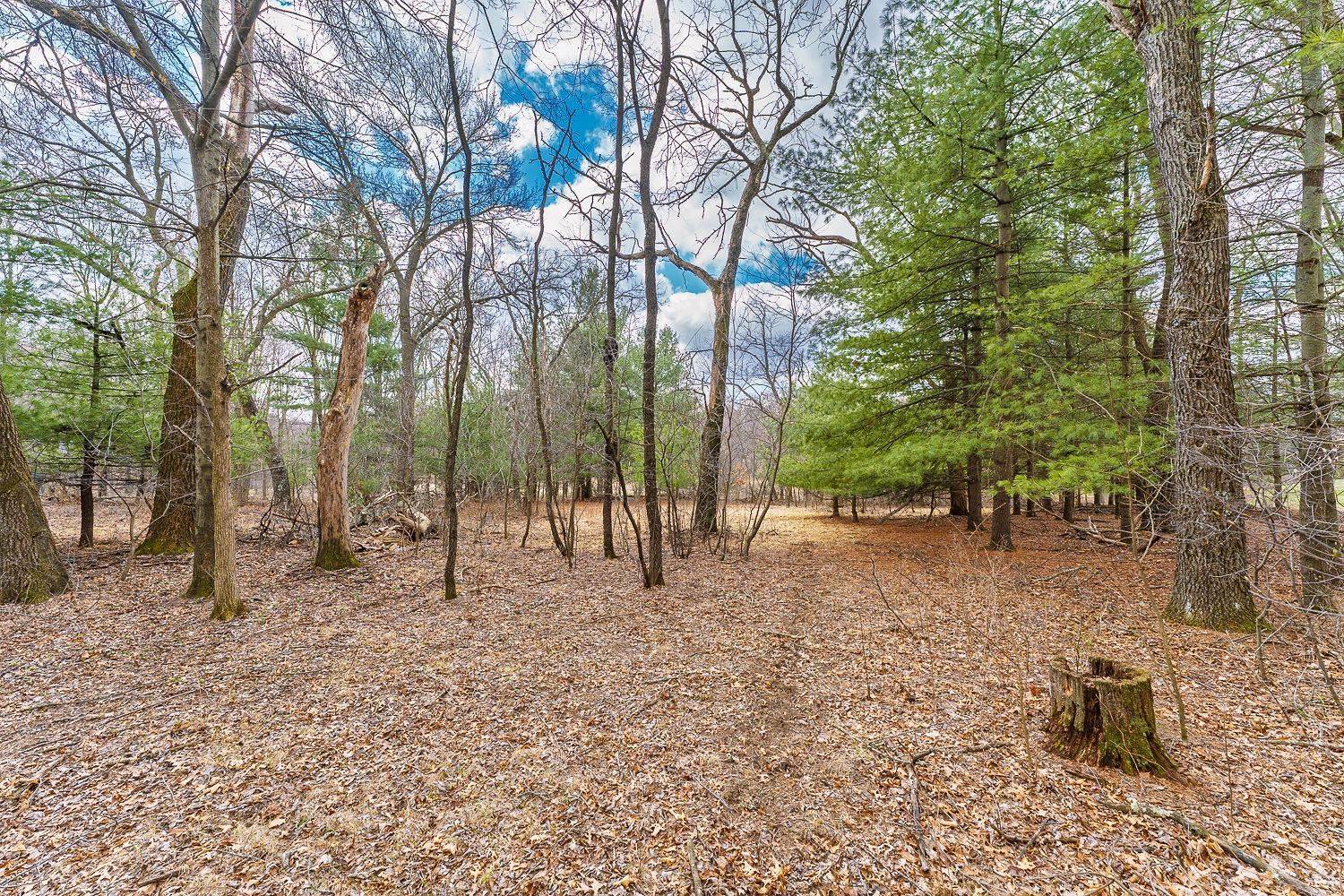 Reedsburg, WI 53959,Lot 19 Buck Bay W