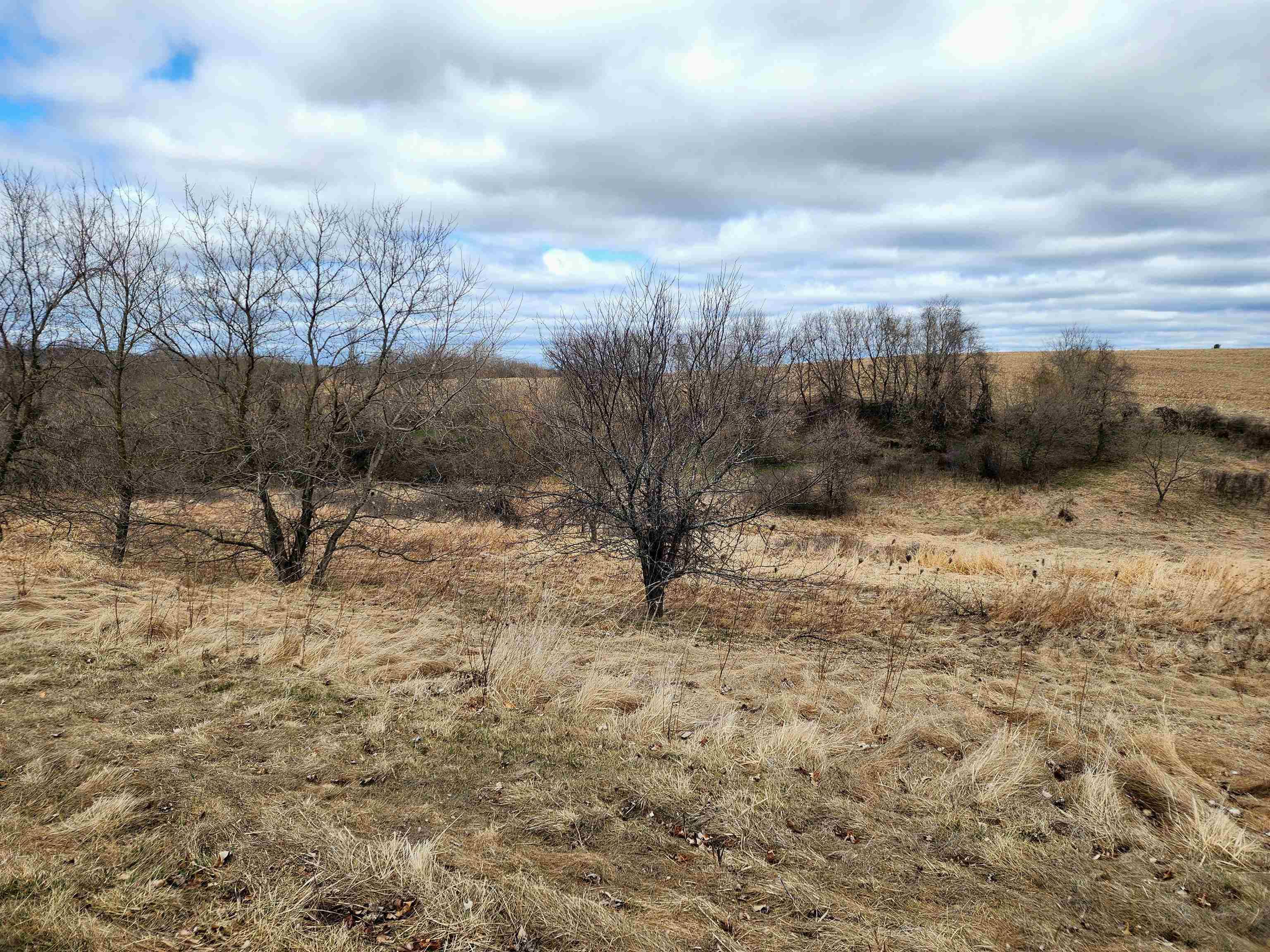 Tomah, WI 54660,Lot 2 Honeycut Avenue