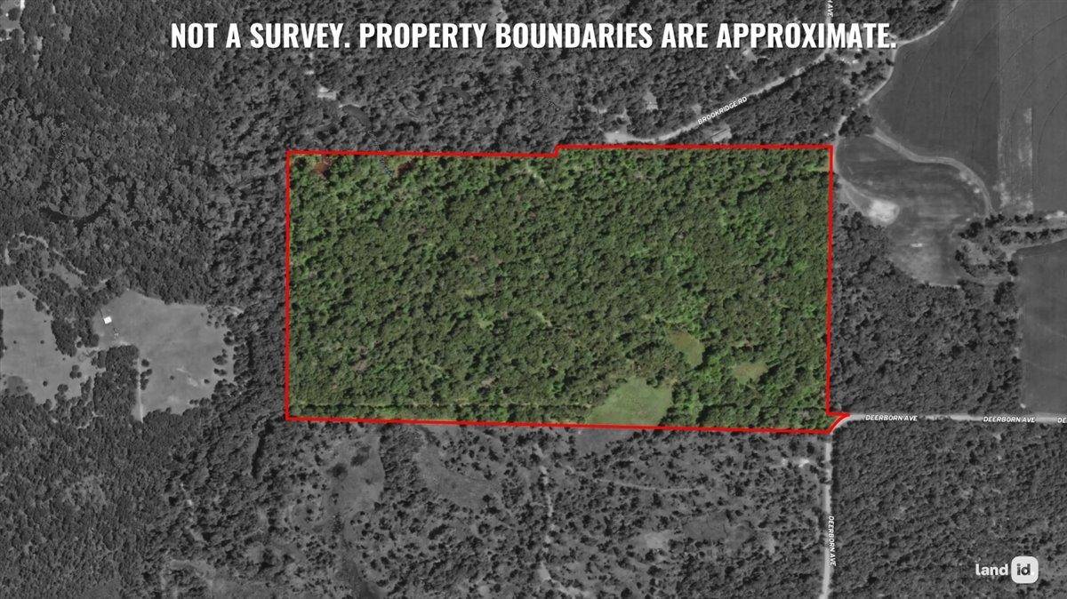 Friendship, WI 53934,81.25+/- Acres Brookridge Road