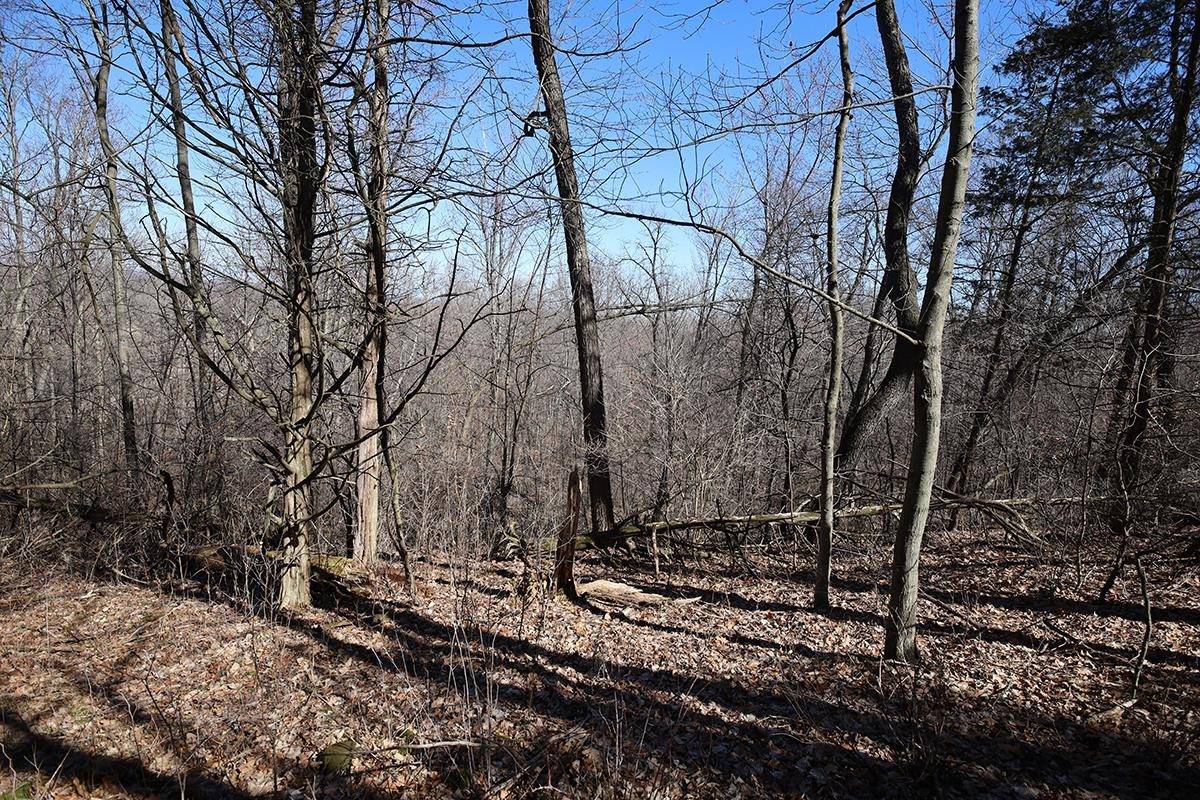 Baraboo, WI 53913,0 Cedarberry Lane