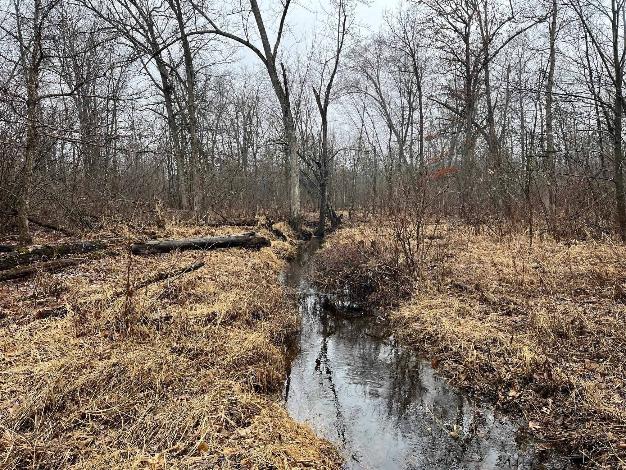 Necedah, WI 54646,W6911 County Road F