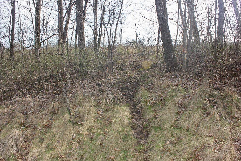 Mineral Point, WI 53565,40 Acres Highway 39