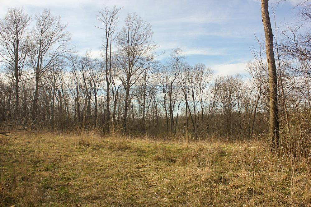 Mineral Point, WI 53565,40 Acres Highway 39