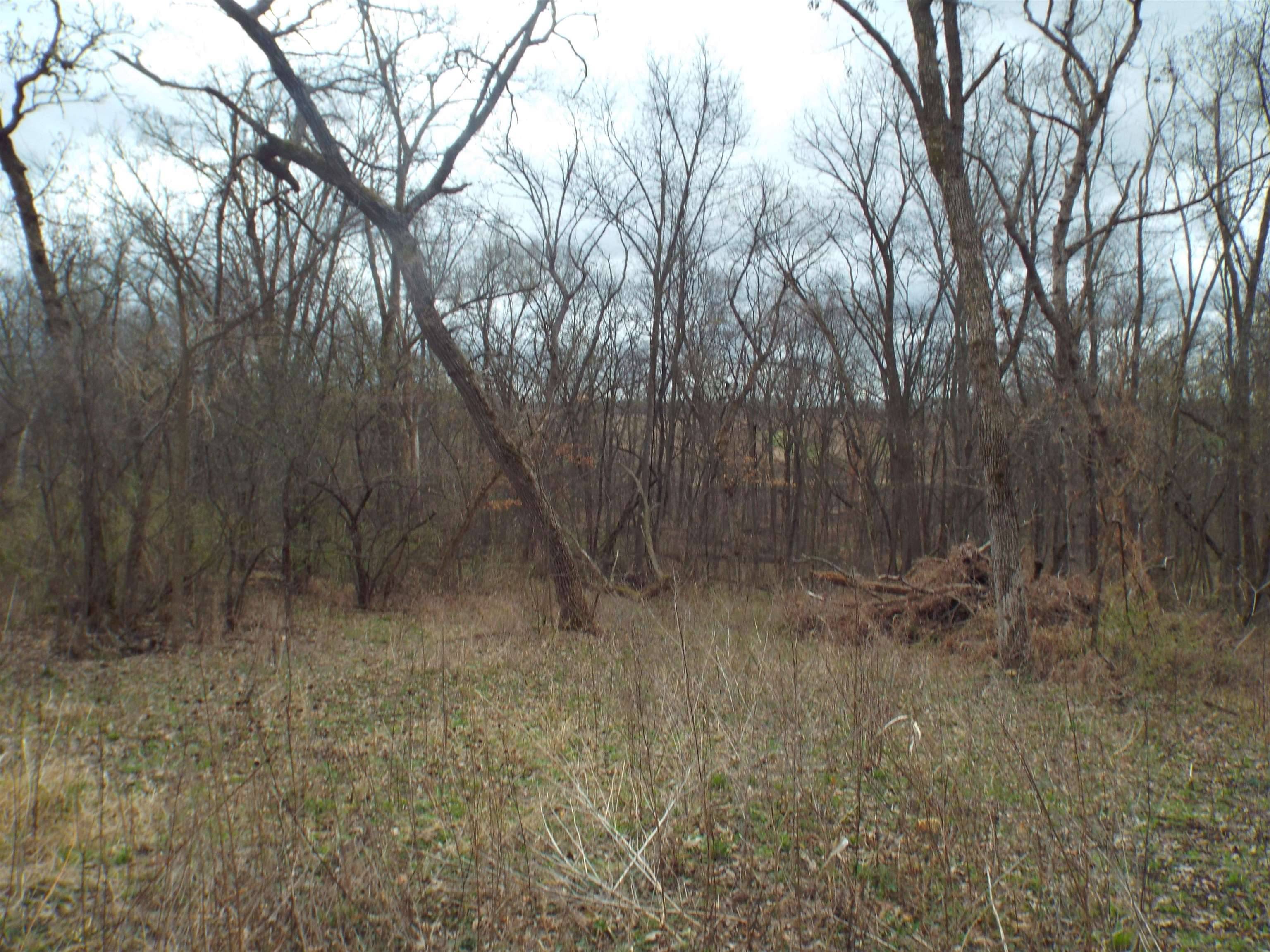 South Wayne, WI 53587,TBD Dog Hollow Road
