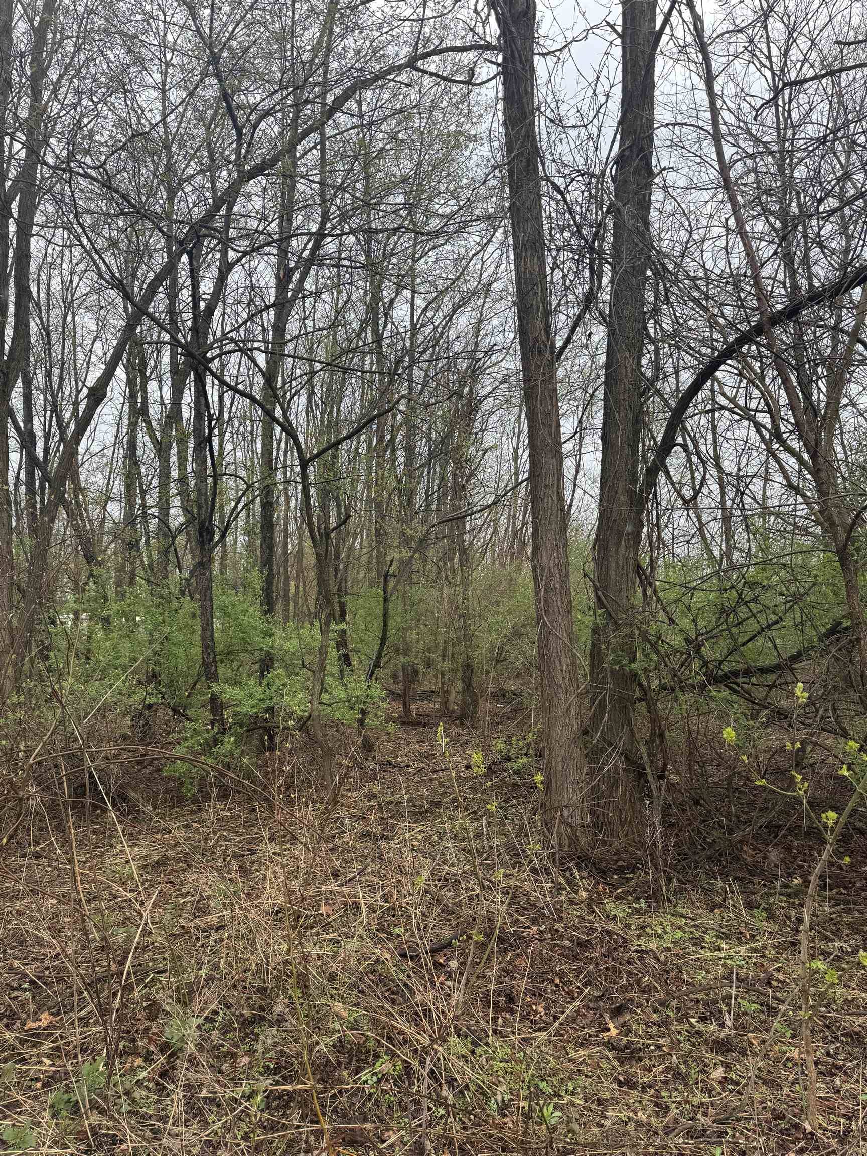 Spring Green, WI 53588,5.78 acres Highbanks Lane