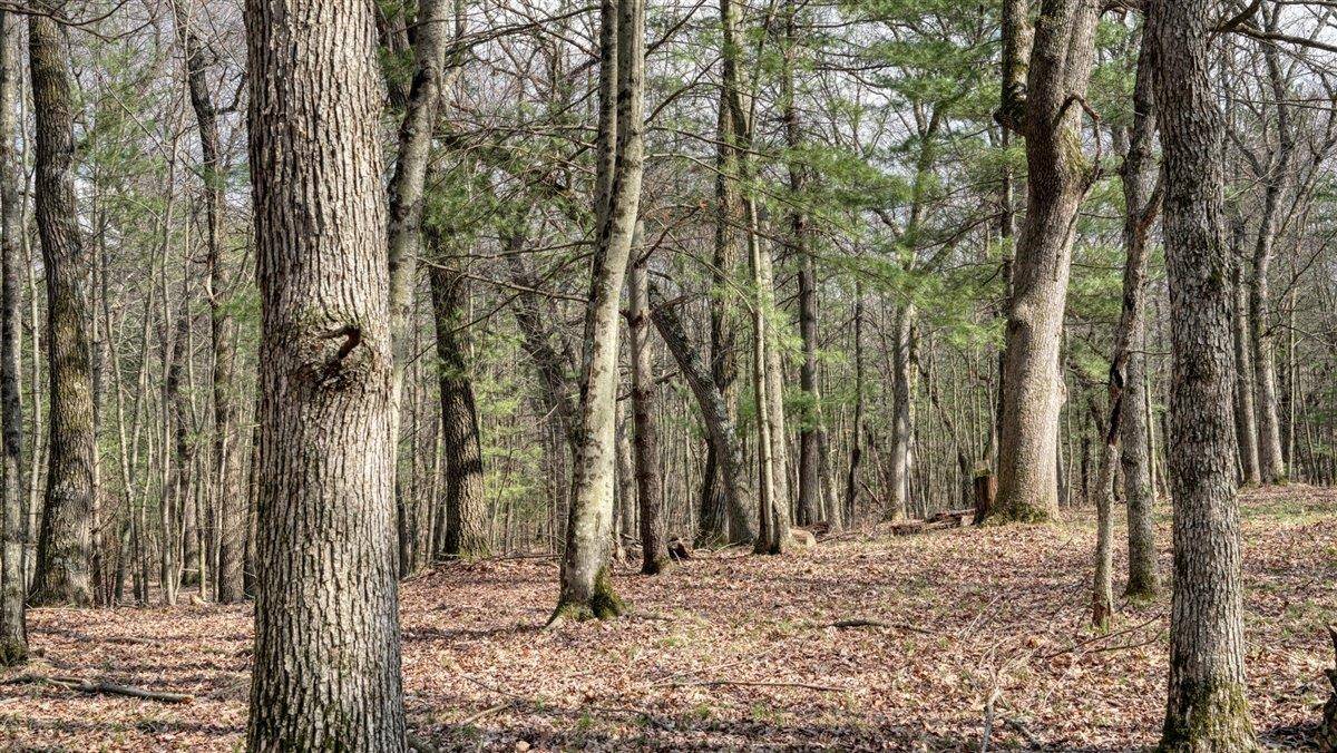 Mauston, WI 53948,25.66 Acres 51st Street