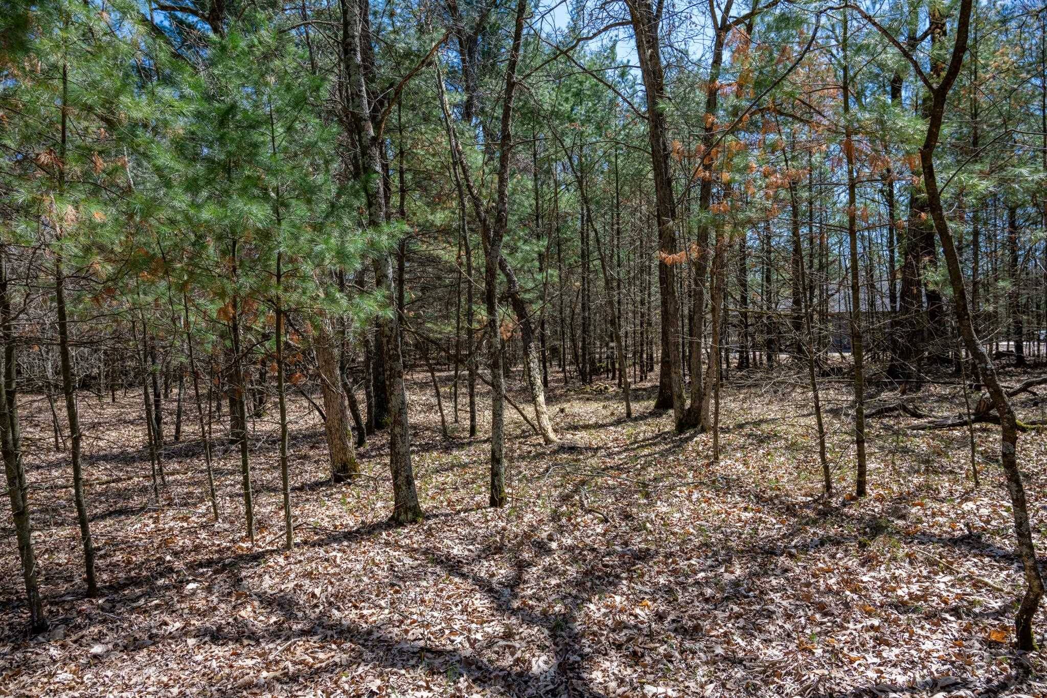 Nekoosa, WI 54457,674 17th Drive