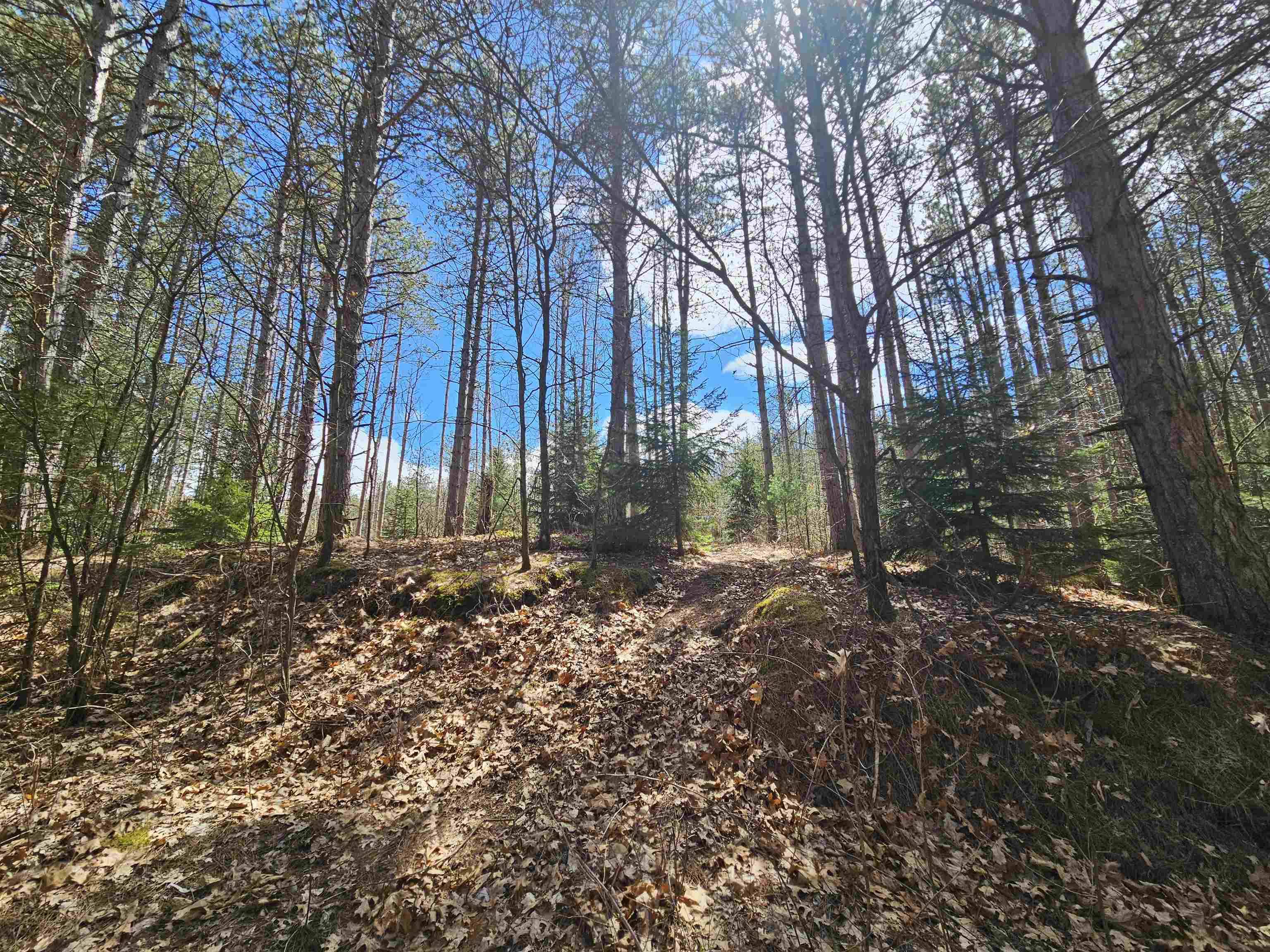Wautoma, WI 54982,0 Viking Trail