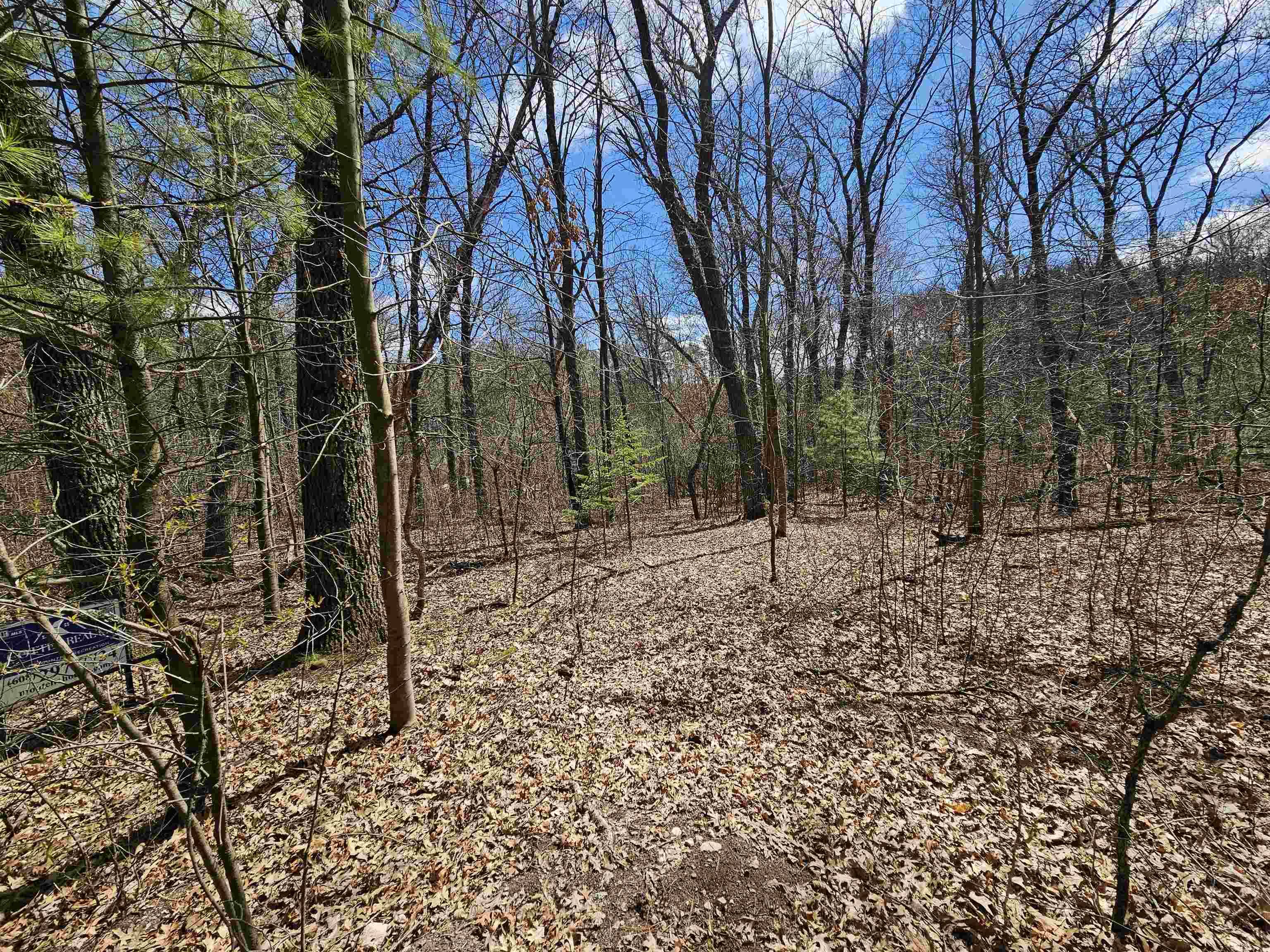 Wautoma, WI 54982,0 Alpine Trail