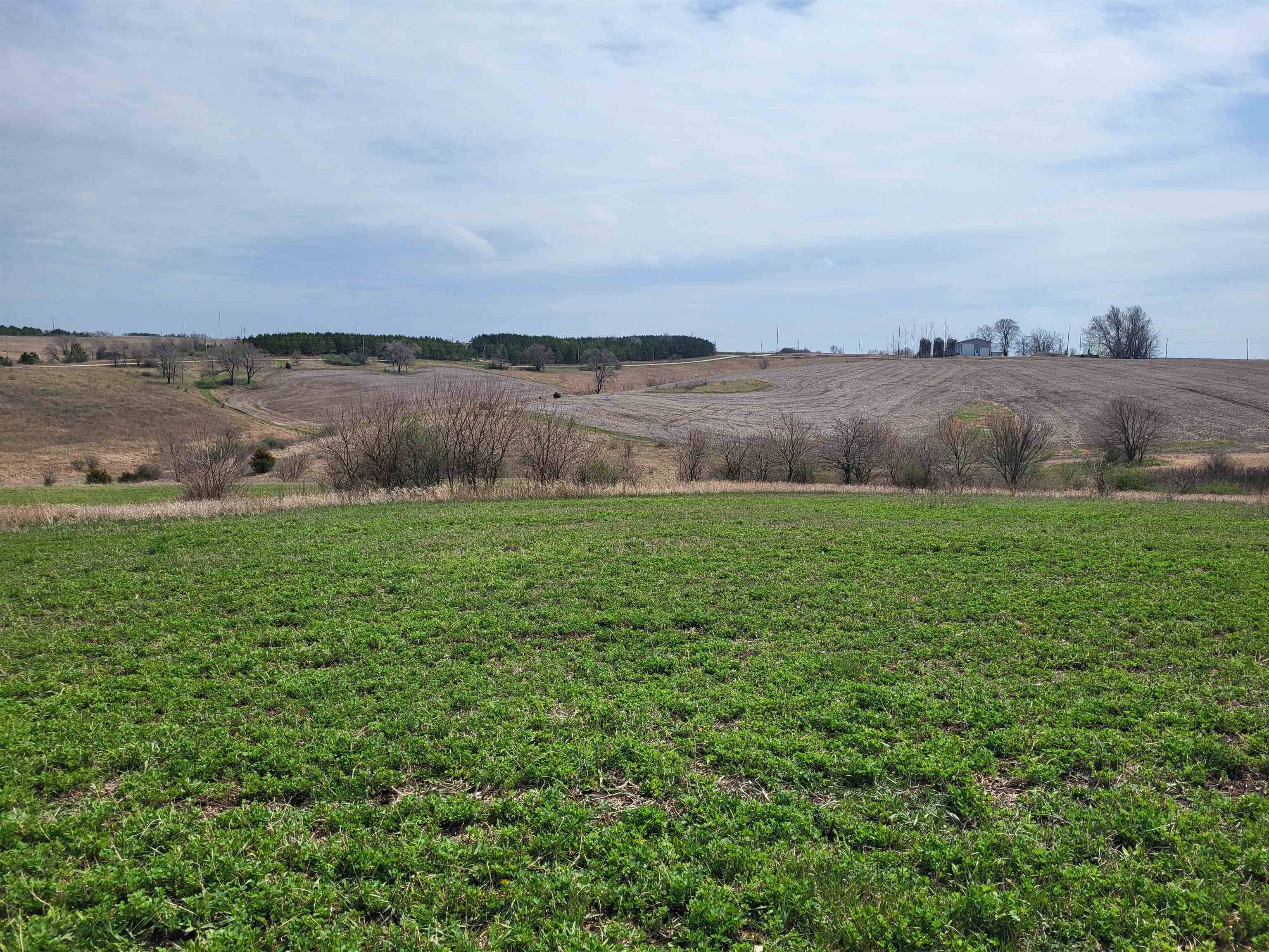 Blanchardville, WI 53574,Lot 28 Highway 39