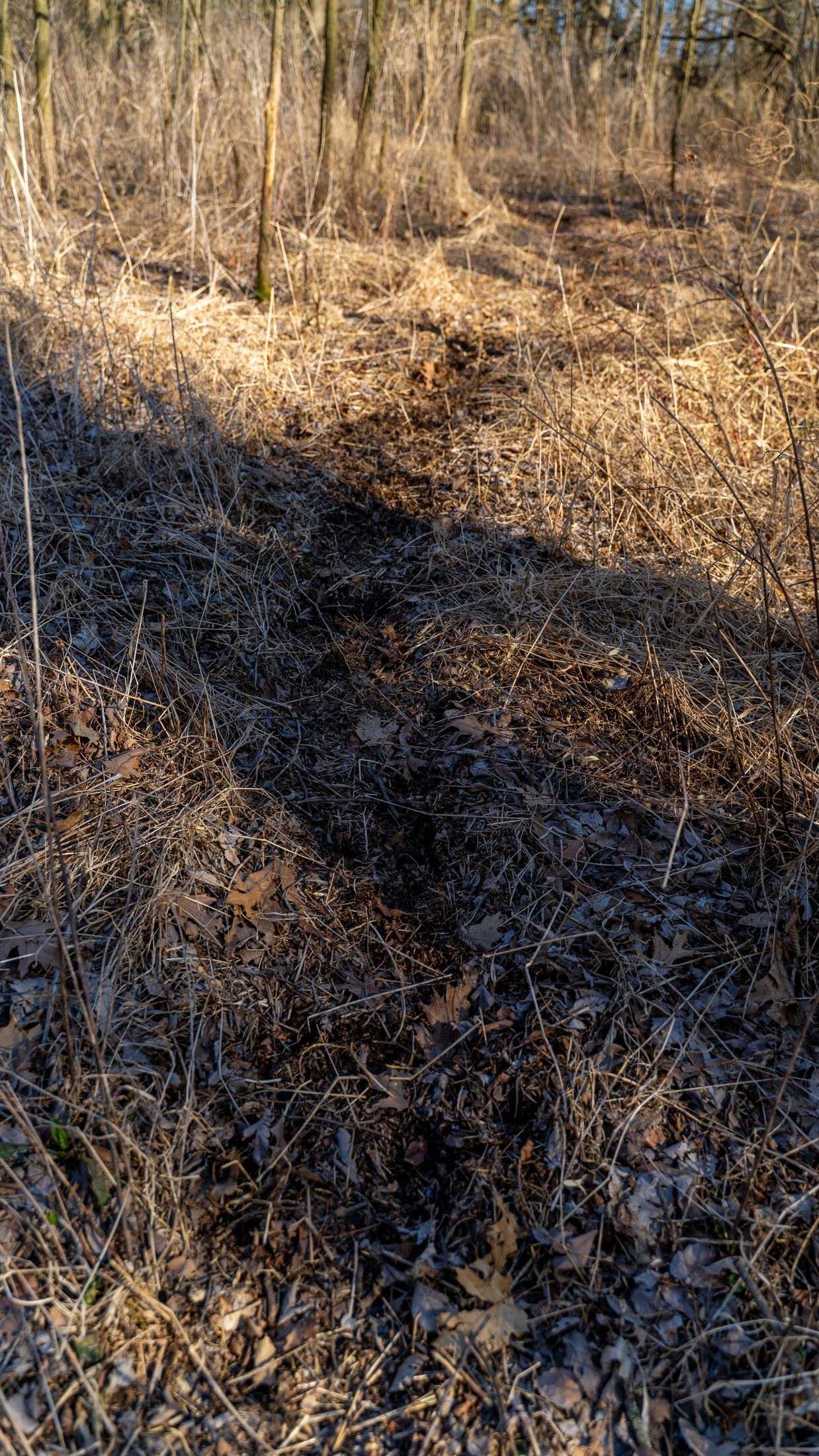 Whitewater, WI 53190,Lot 2 & 3 Sherwood Forest Road