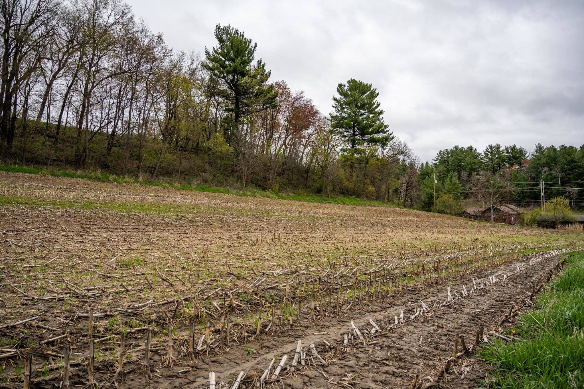 Elroy, WI 53929,2.95 acres County Road W