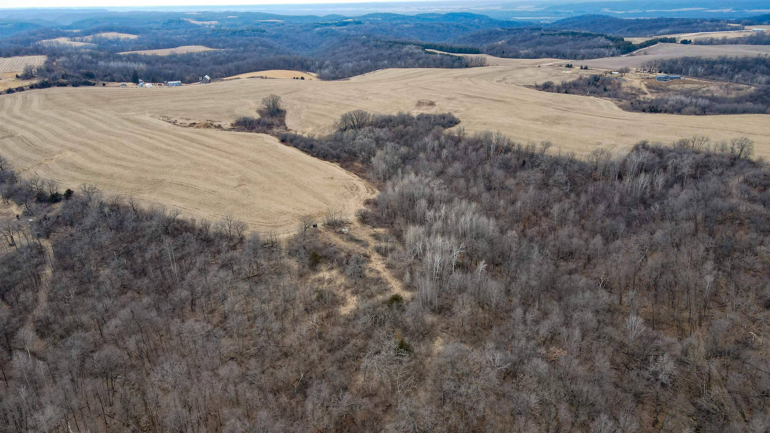 Pulaski, WI 53573,30+/-AC Dry Dog Road