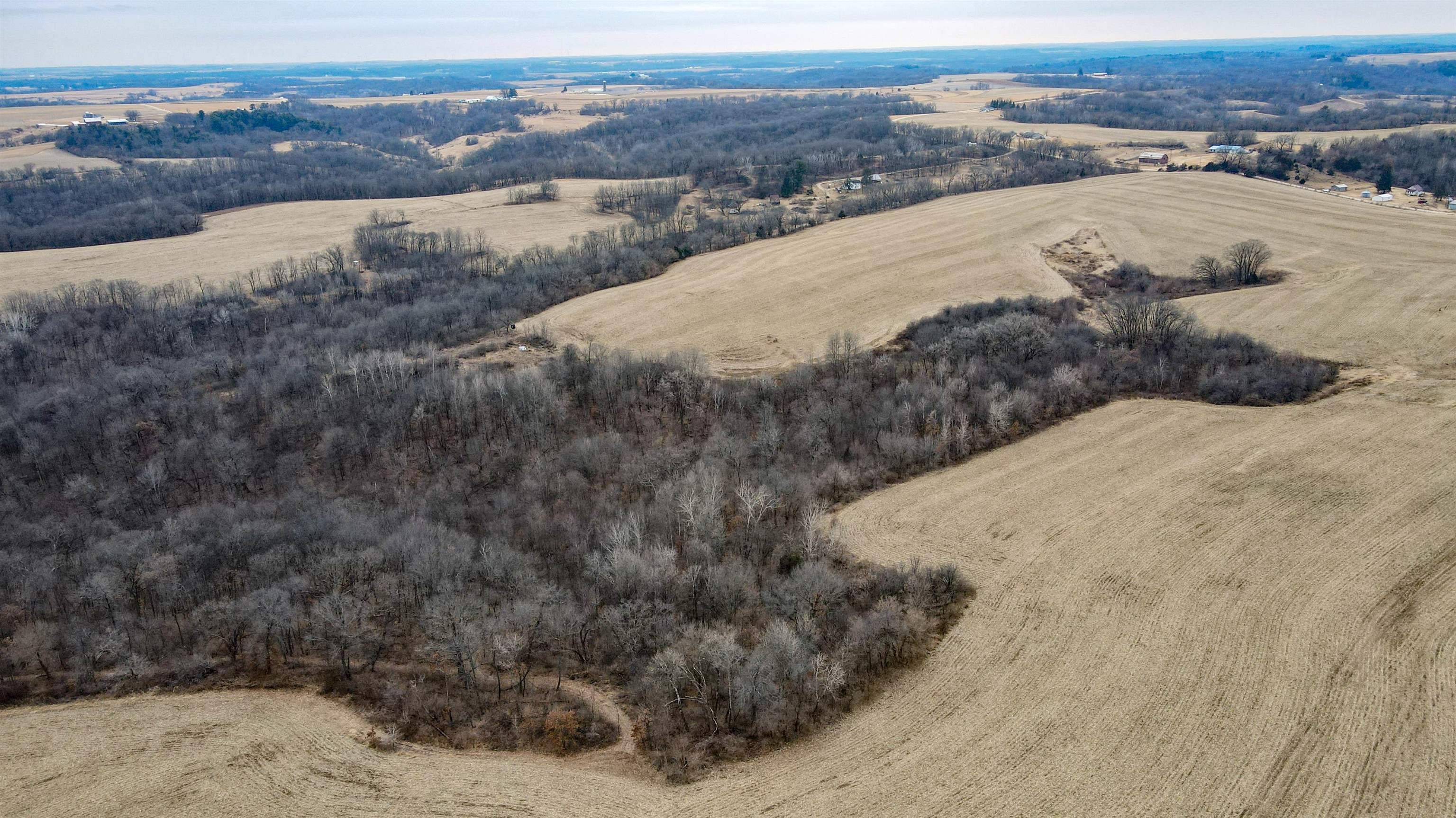 Pulaski, WI 53573,30+/-AC Dry Dog Road