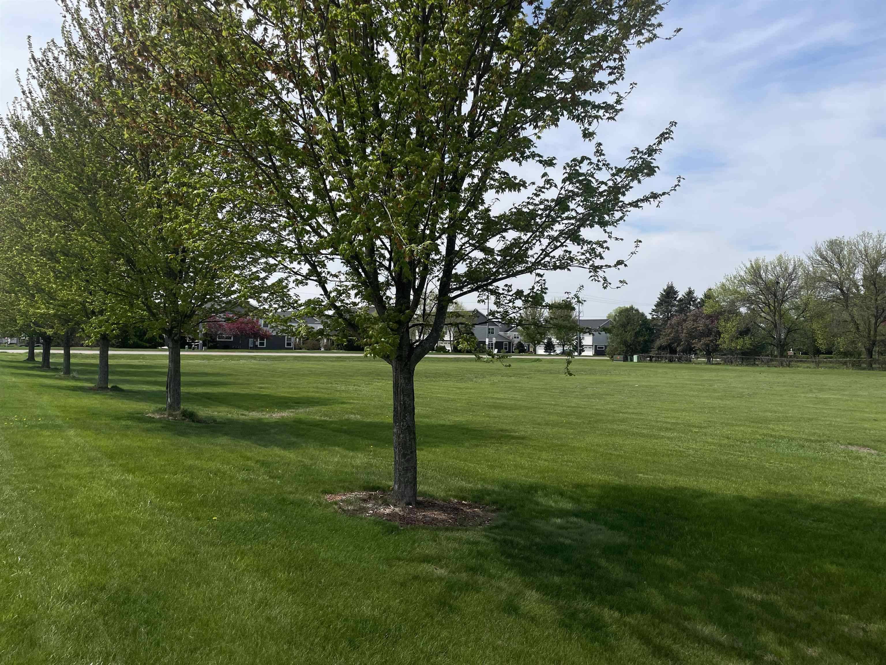 Prairie Du Sac, WI 53578,711 21st Street
