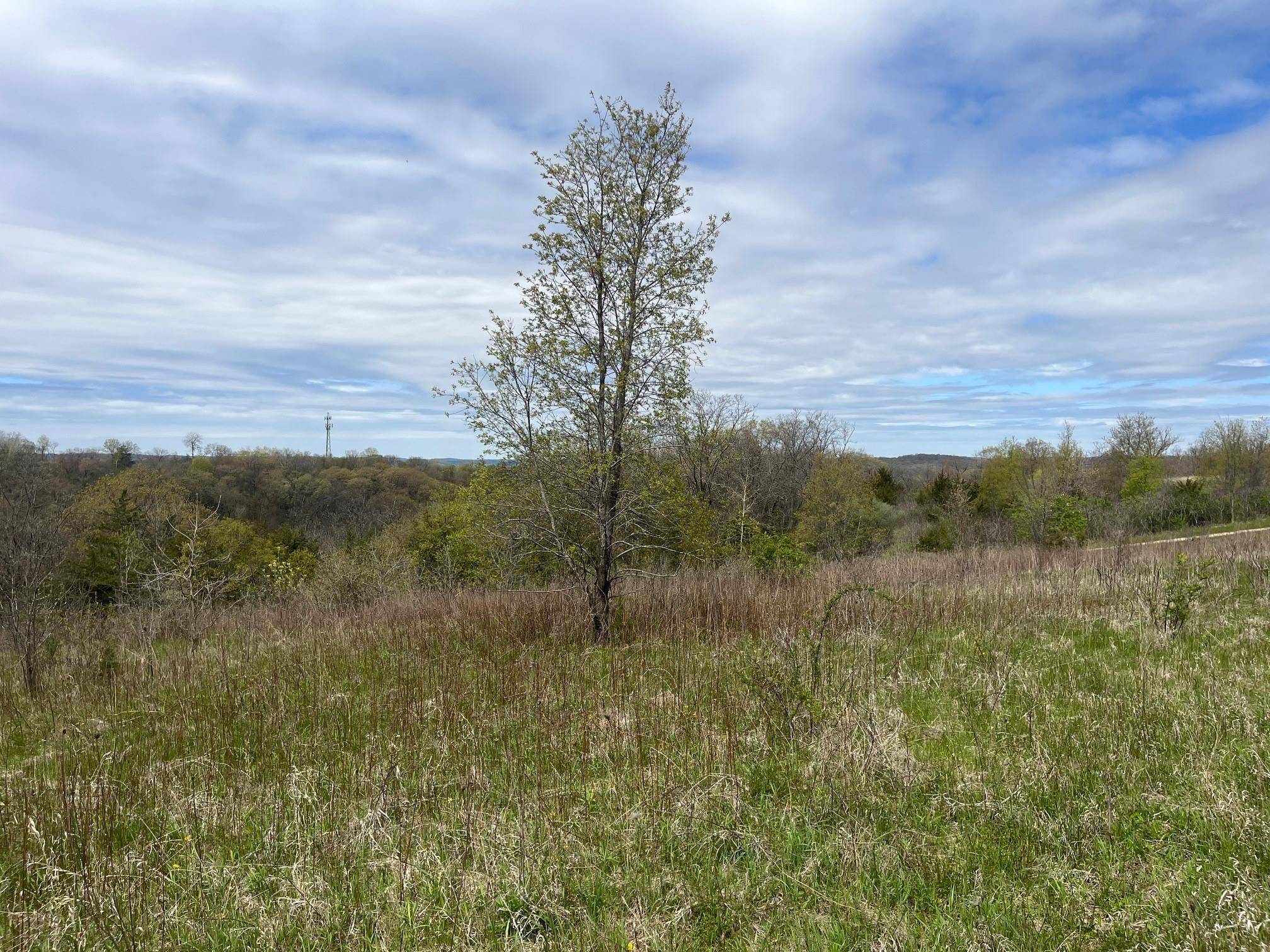 Cross Plains, WI 53528,35.17 ac Gils Way