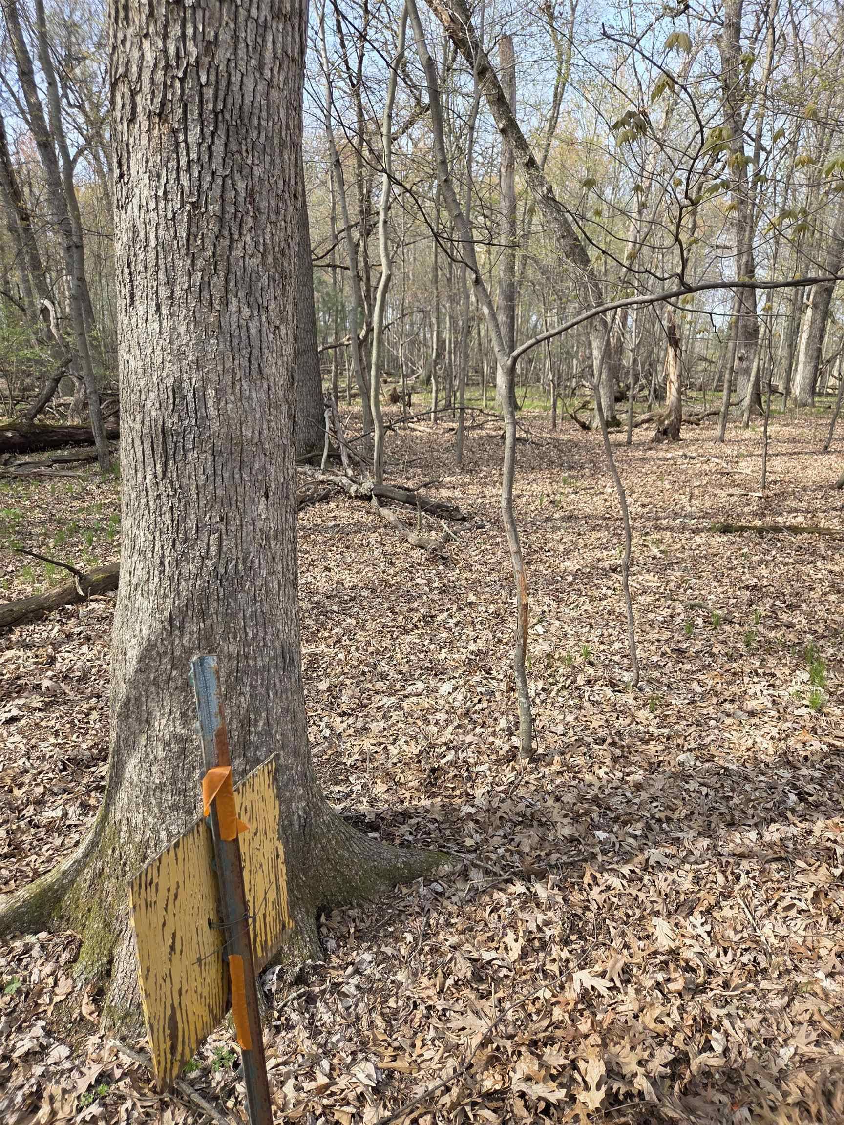 Westfield, WI 53964,County Road Z
