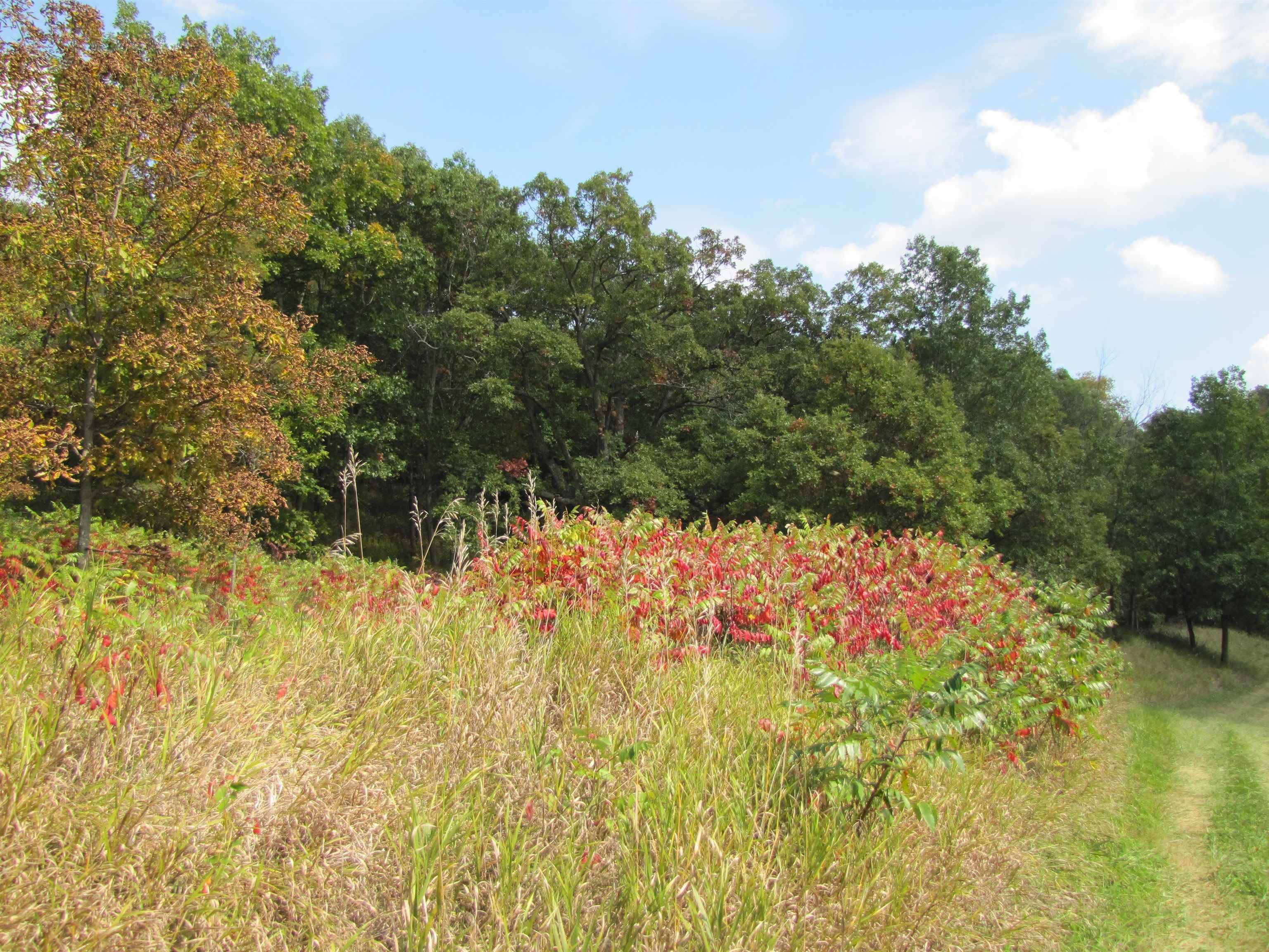 Spring Green, WI 54588,65.61 ac Paulus Road