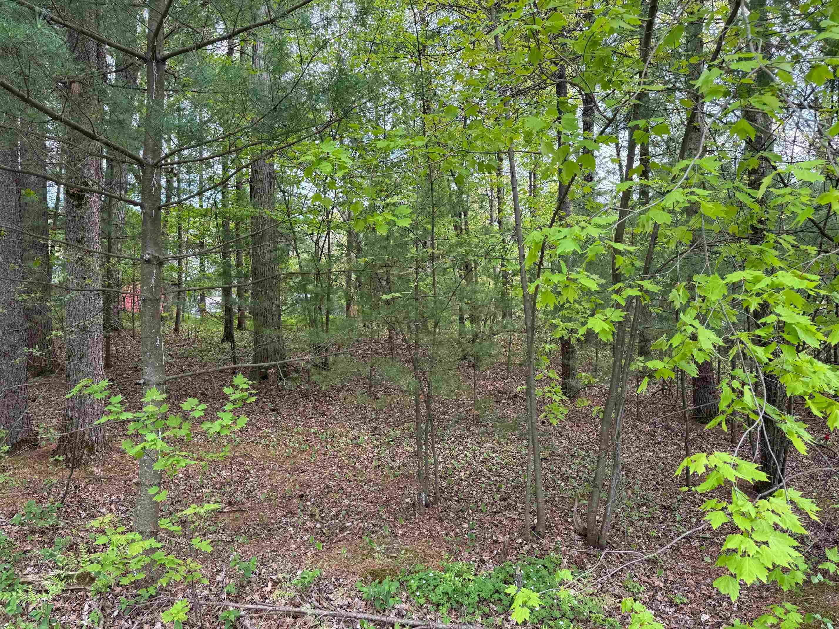 Lake Delton, WI 53965,140 Ridge Drive