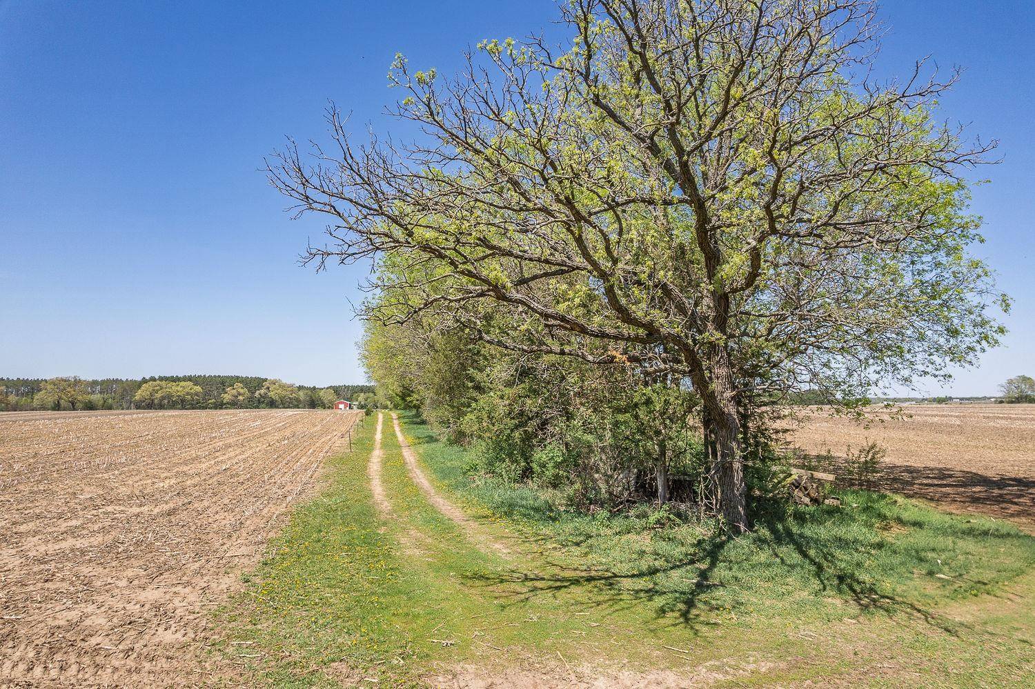 Baraboo, WI 53913,40A Shady Lane Road