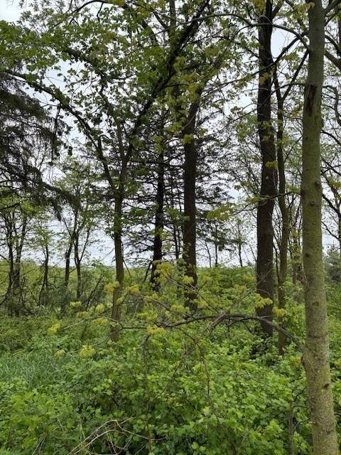 Soldiers Grove, WI 54655,0 Boyle