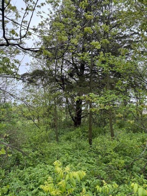 Soldiers Grove, WI 54655,0 Boyle