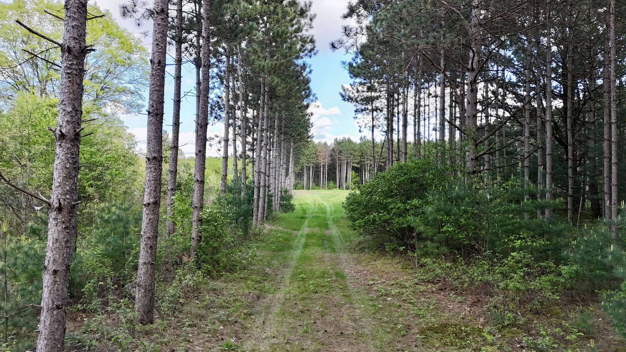 Grand Marsh, WI 53936,10 AC 4th Avenue