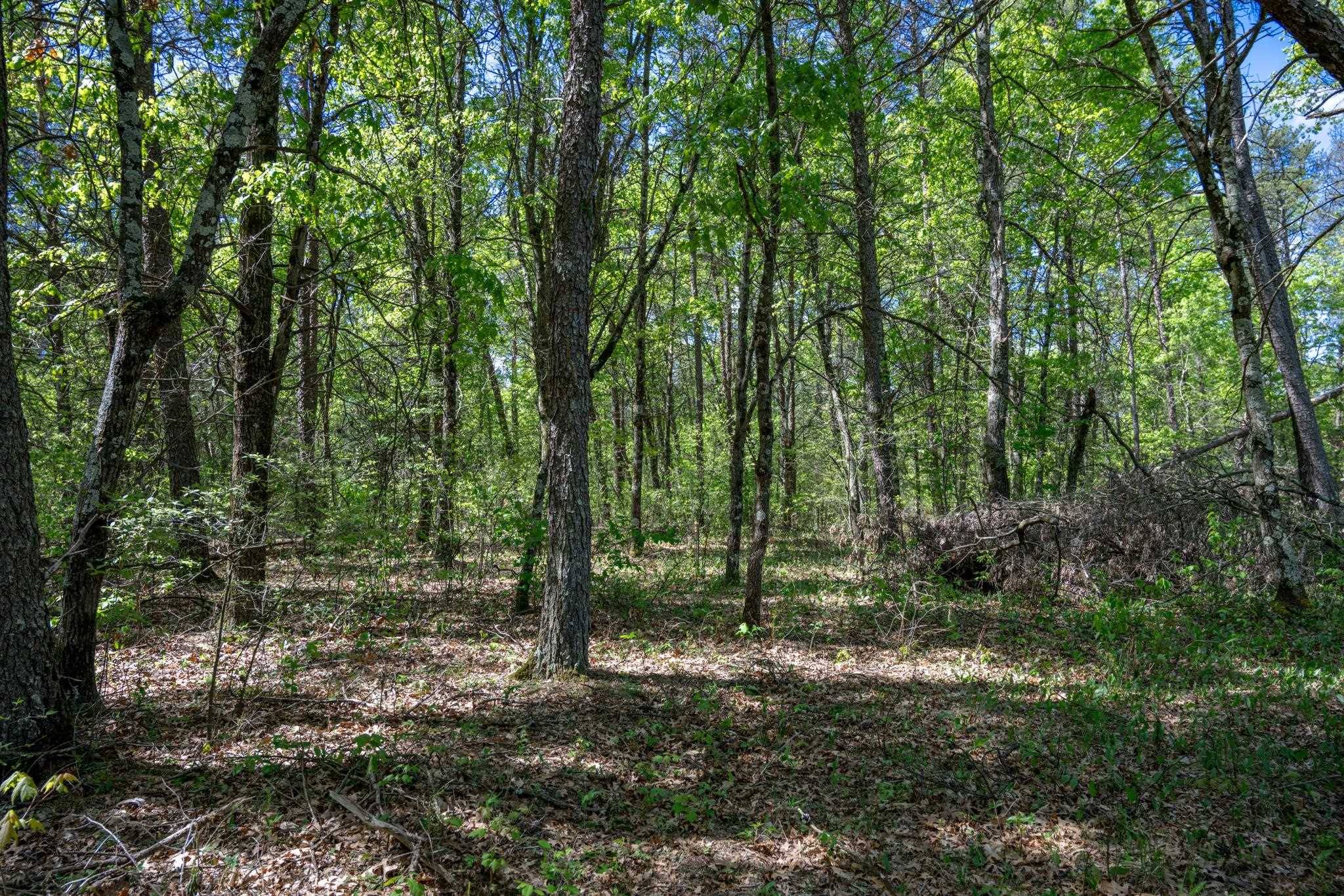 Necedah, WI 54646,Lot 2 Aroma Lane
