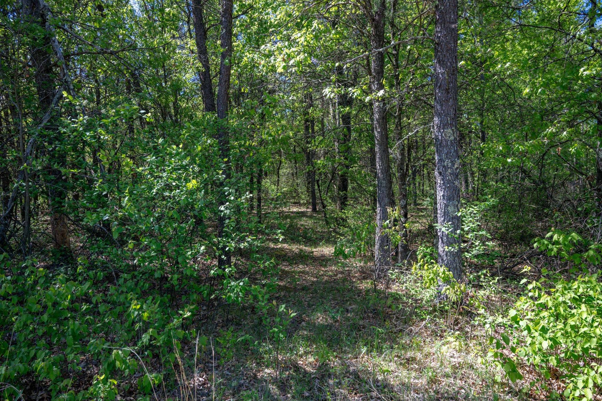 Necedah, WI 54646,Lot 2 Aroma Lane