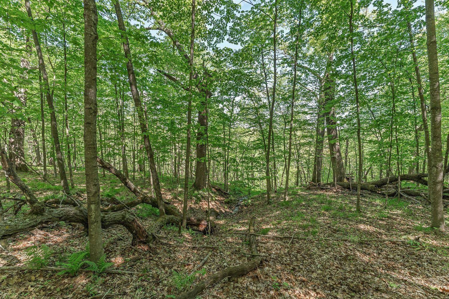 La Valle, WI 53941,L10-13 Eggbrecht Road