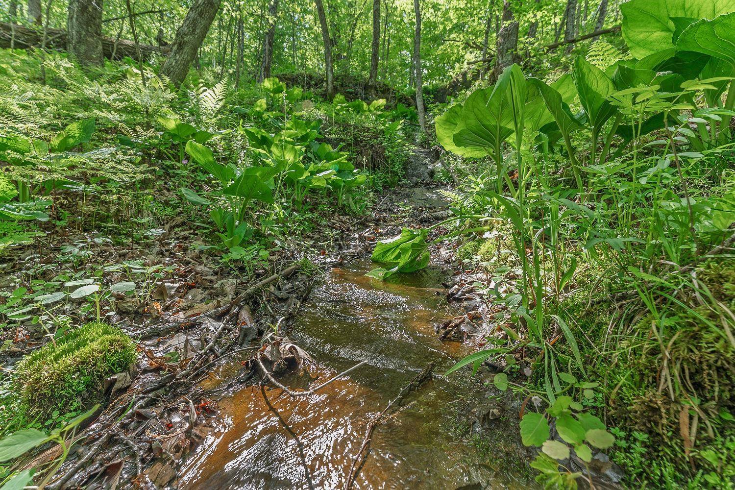 La Valle, WI 53941,L10-13 Eggbrecht Road